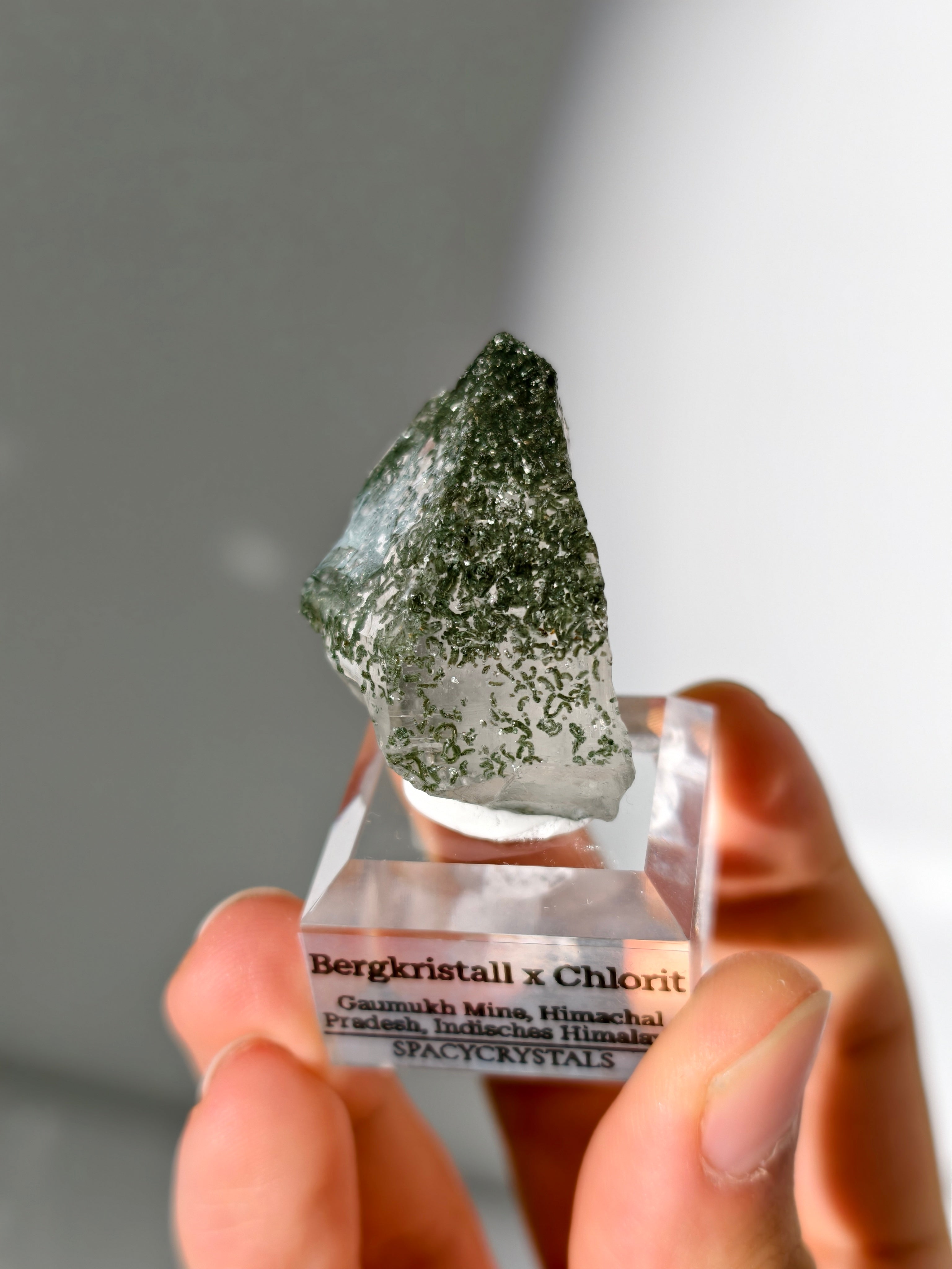 Himalaya Bergkristall mit Chlorit Einschlüssen