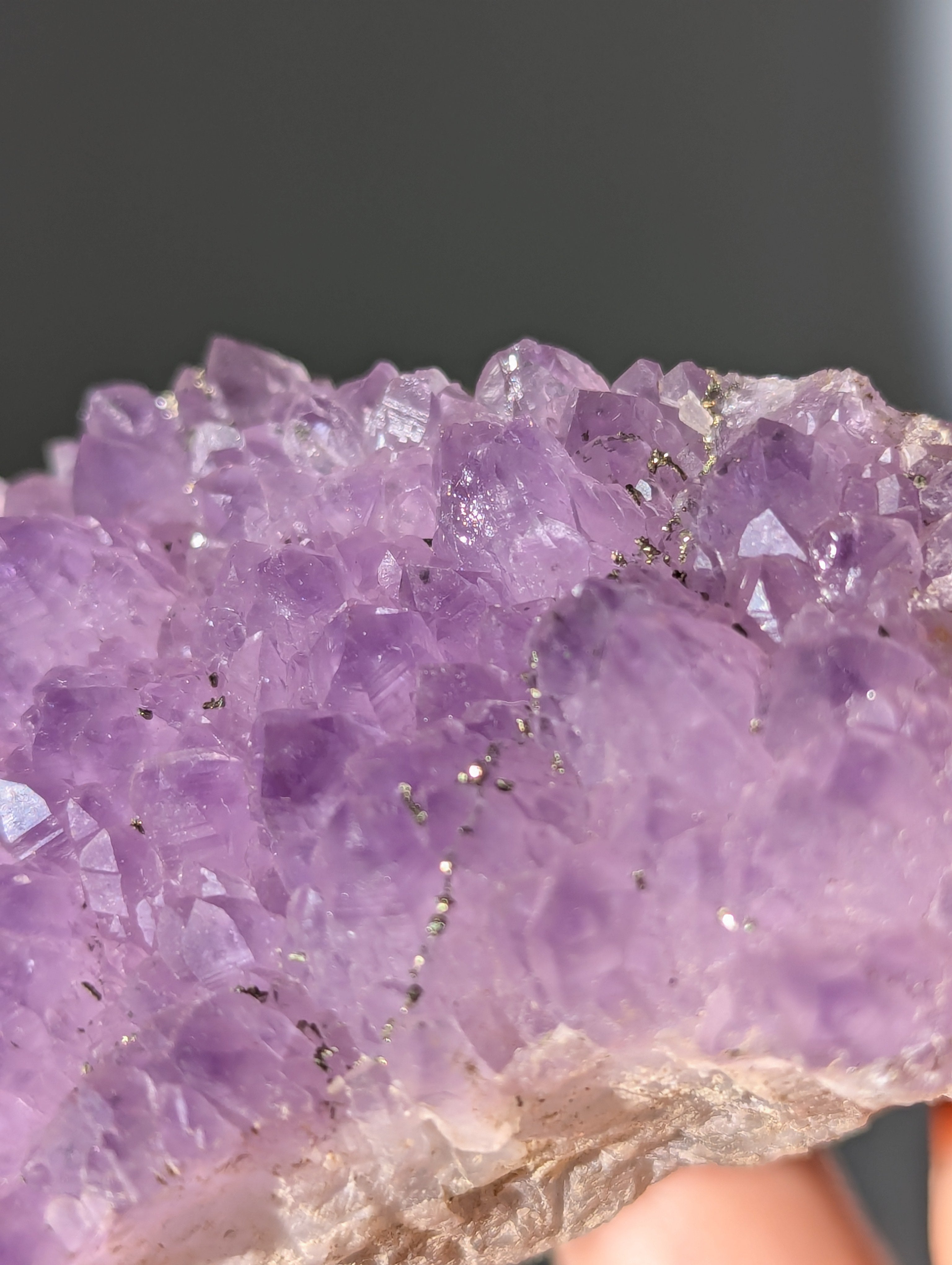 Pyrit auf Amethyst aus Bulgarien ✨