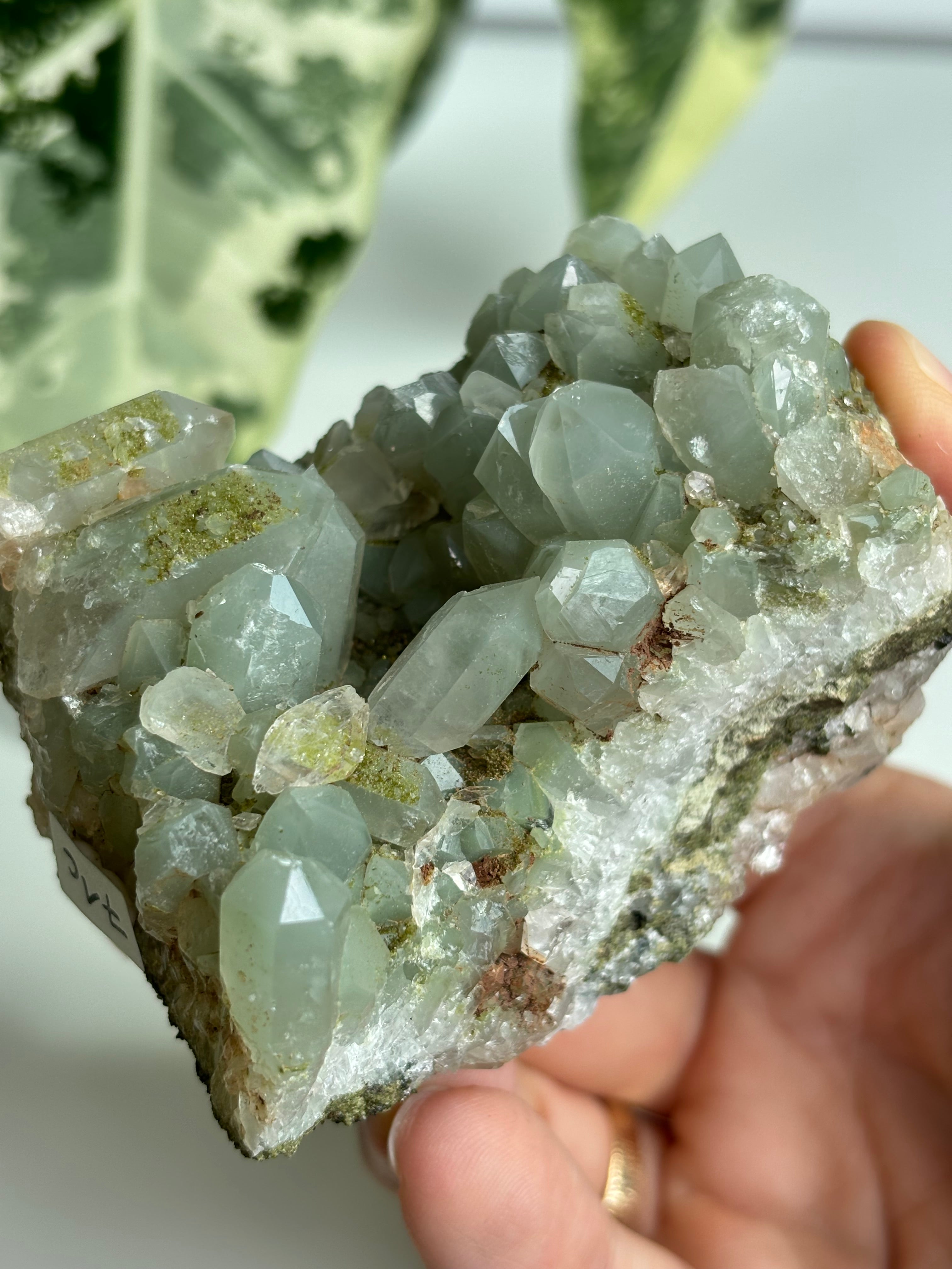 Chlorit Bergkristall mit Epidot (selten) 8