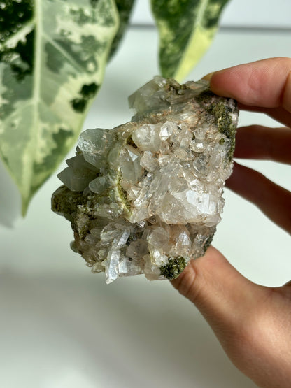 Chlorit Bergkristall mit Epidot (selten) 8