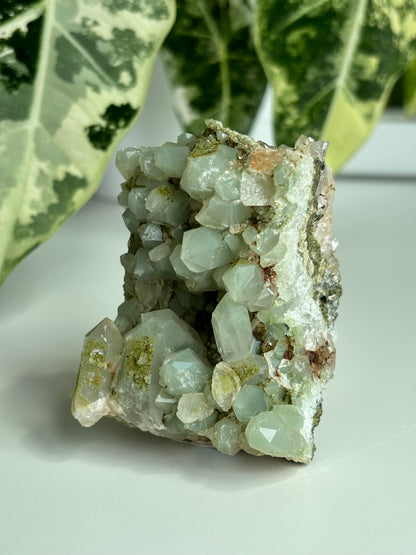 Chlorit Bergkristall mit Epidot (selten) 8