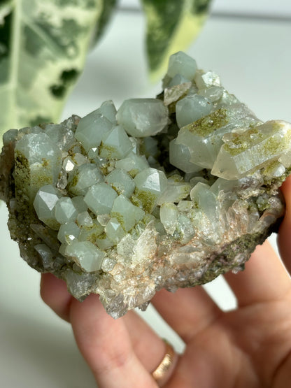 Chlorit Bergkristall mit Epidot (selten) 8