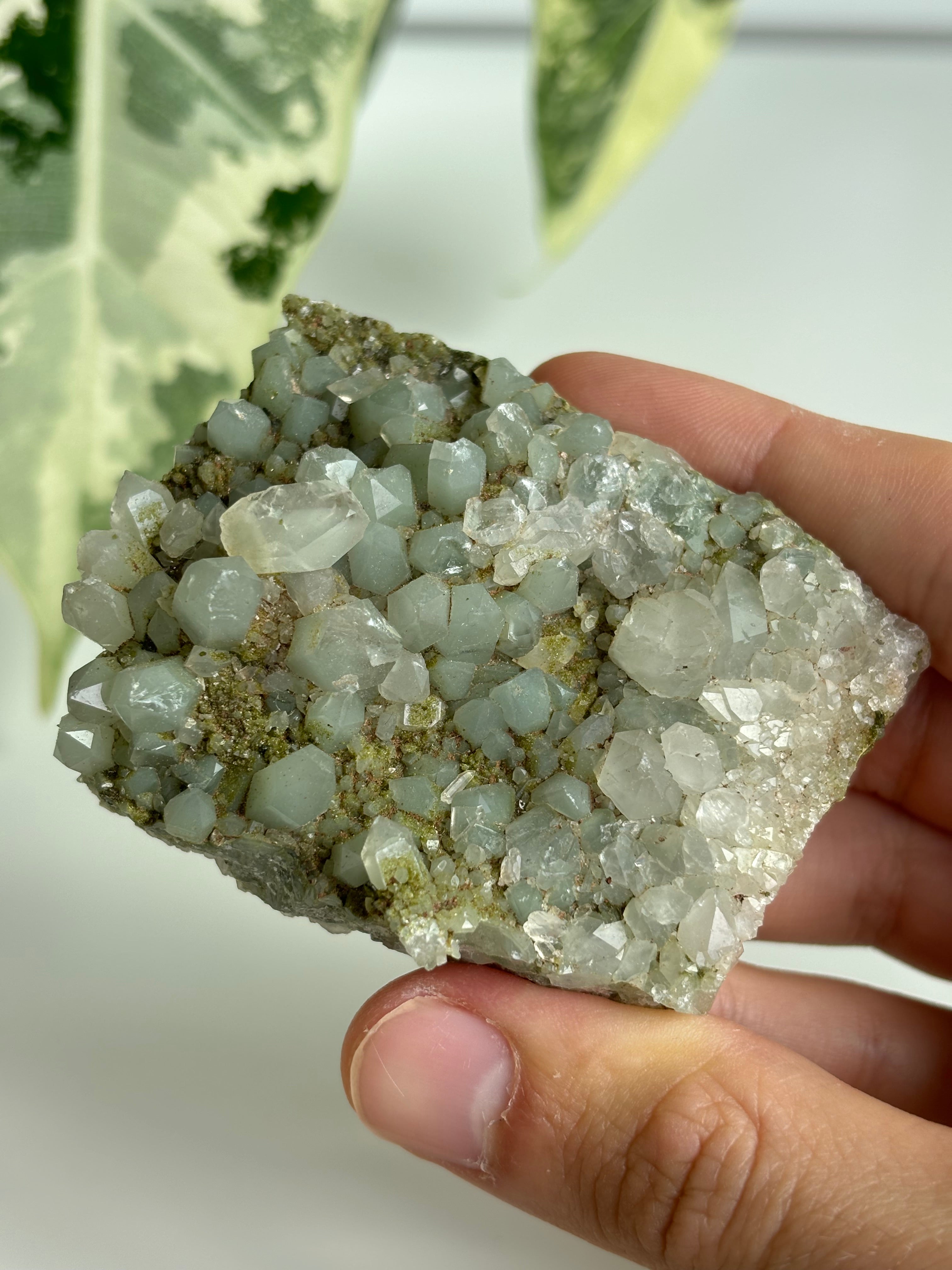 Chlorit Bergkristall mit Epidot (selten) 11