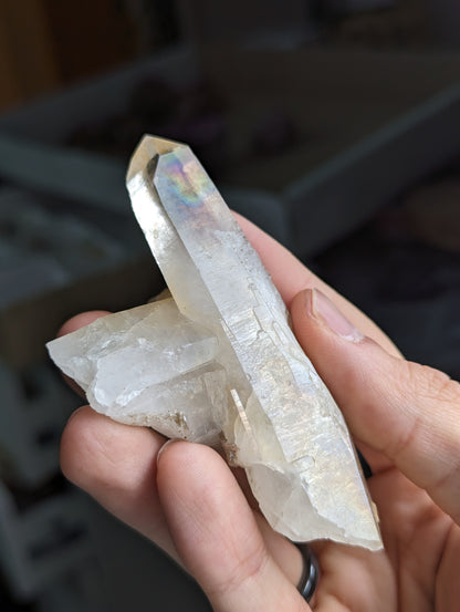 Siderit und Ferberit auf irisierender Bergkristall Spitze Portugal