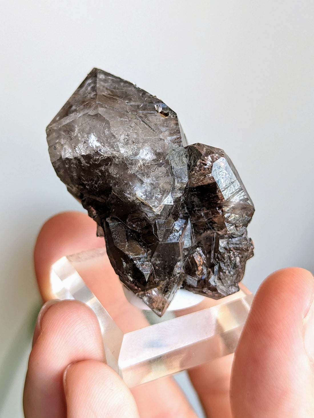 Midnight Herkimer Diamant Cluster