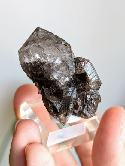 Midnight Herkimer Diamant Cluster