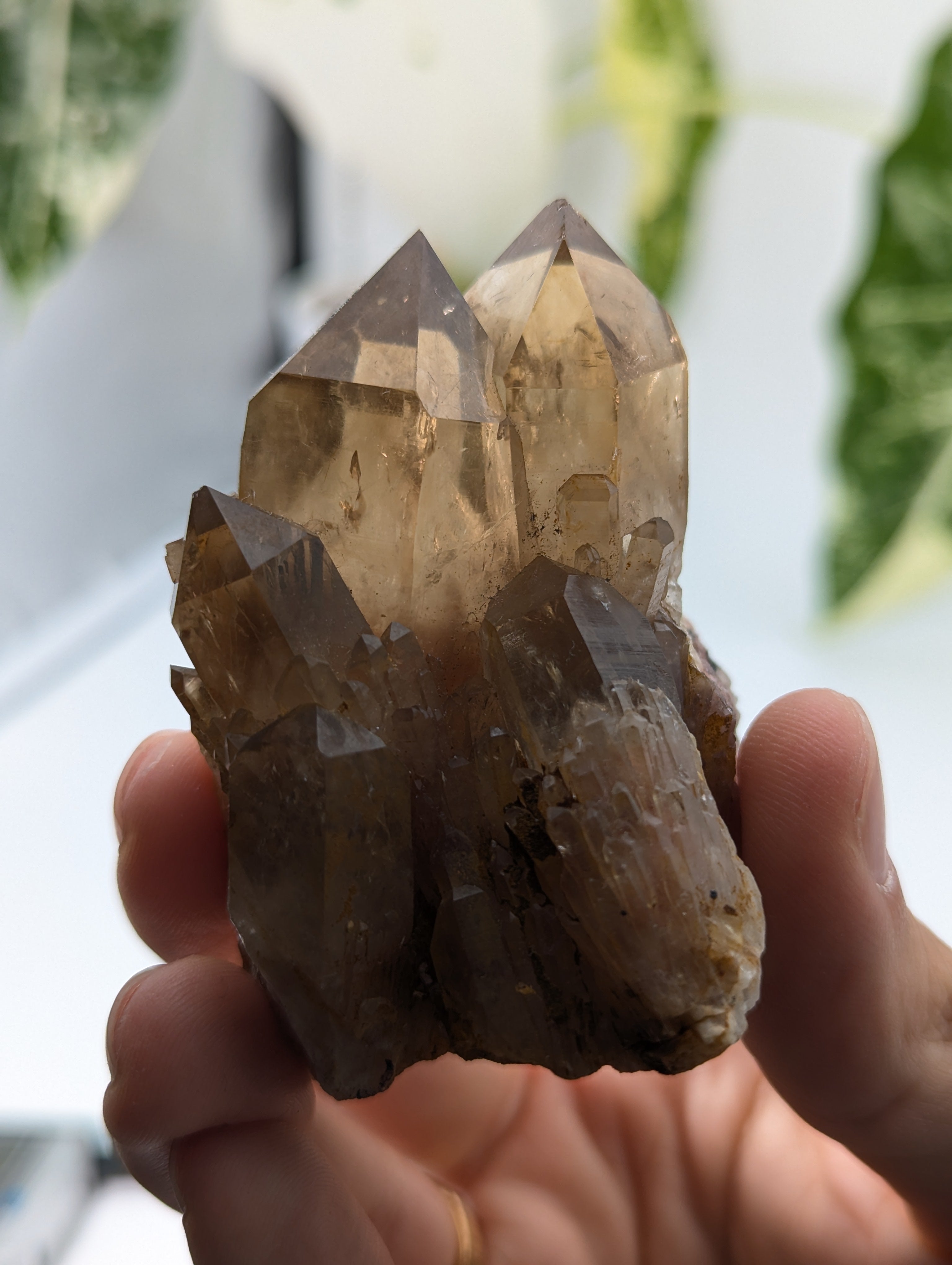 Kundalini Citrin selbst stehend