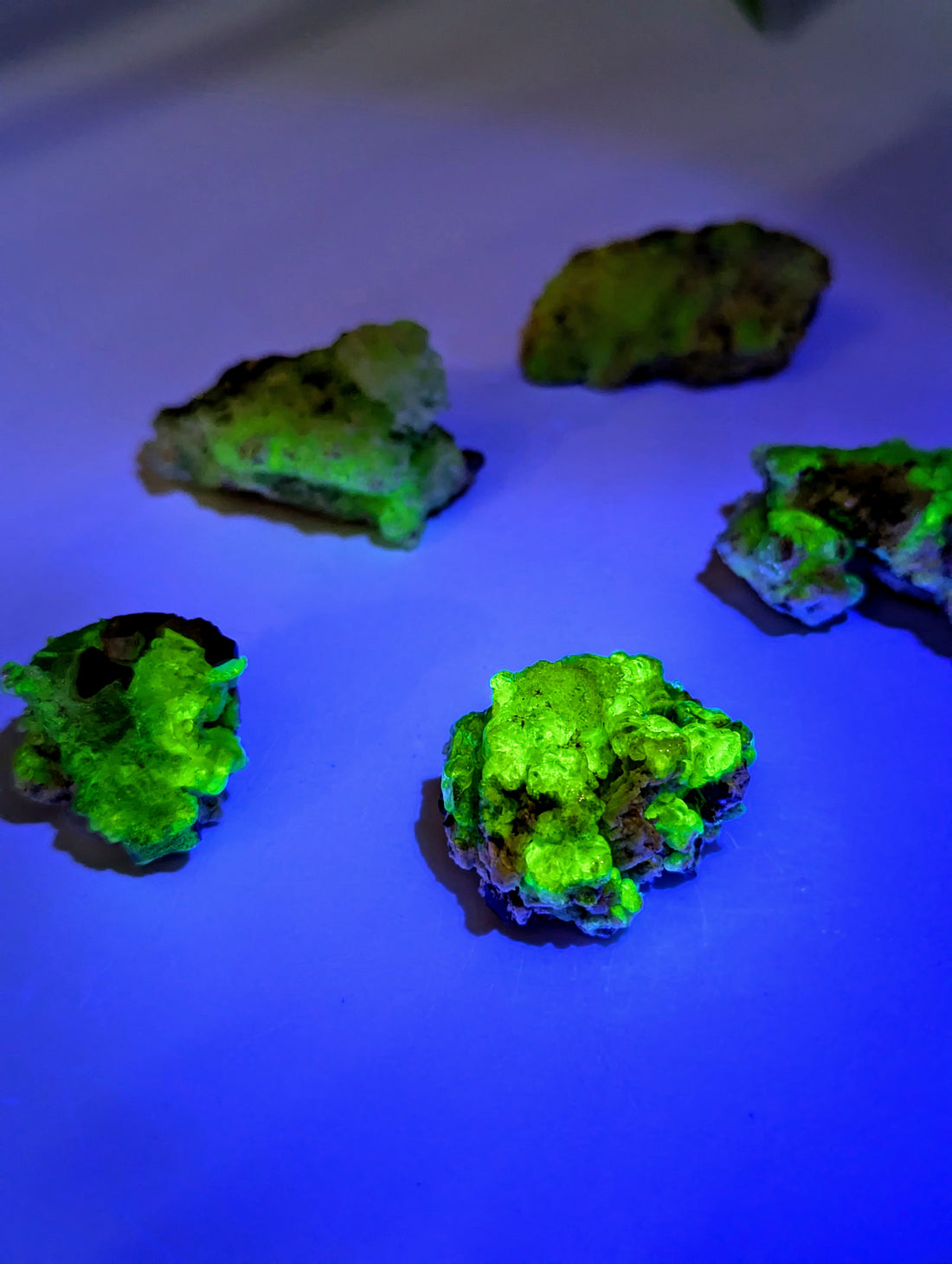 Hoch UV-Aktiver Hyalit Opal Erongo Namibia