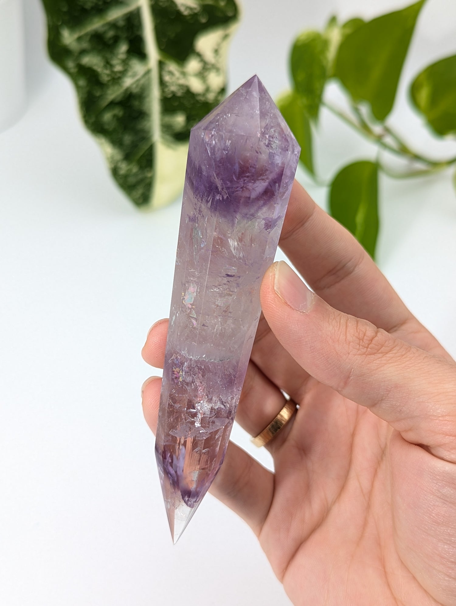 Amethyst Vogel Kristall mit Phantom 76v