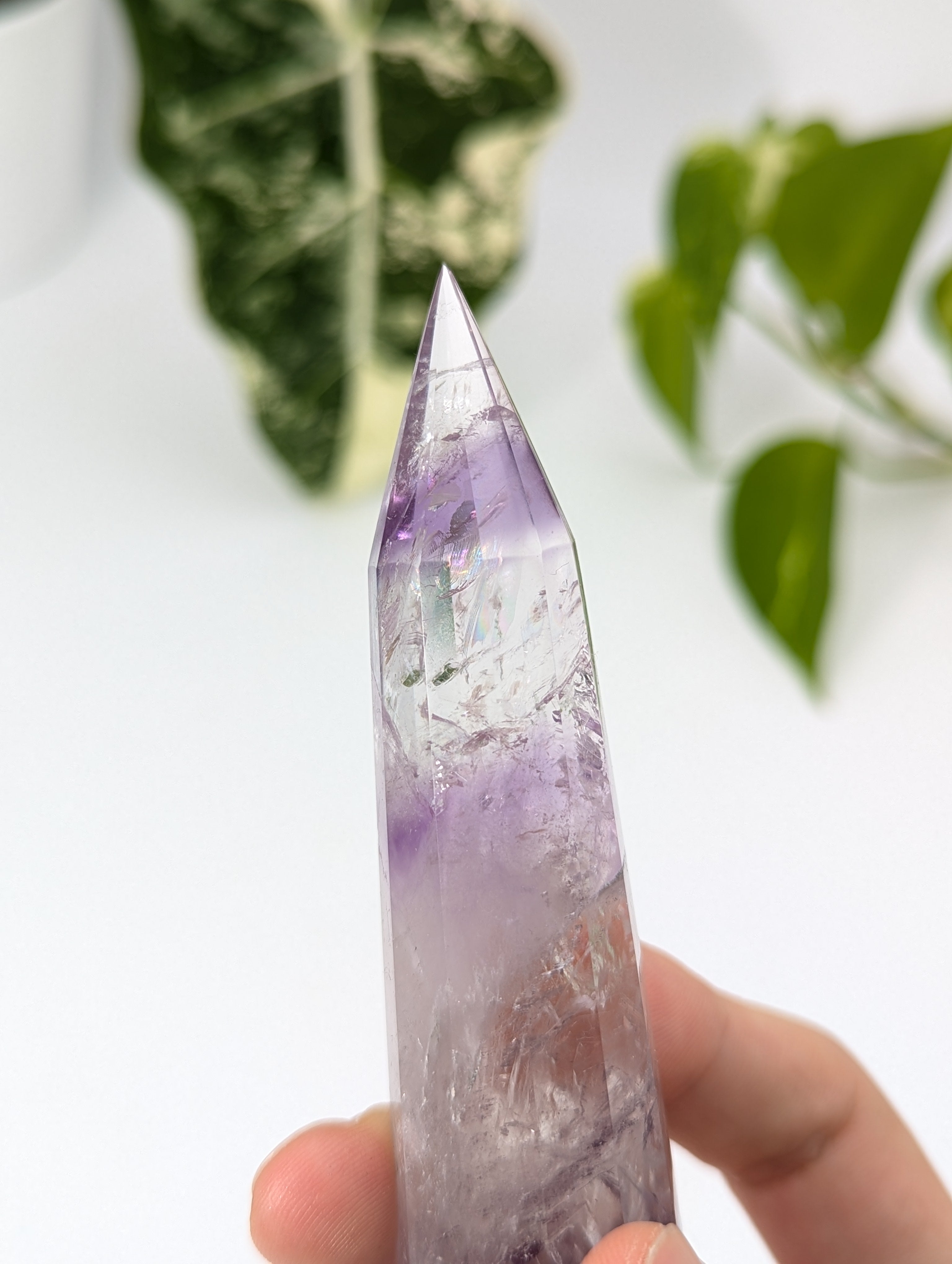 Amethyst Vogel Kristall mit Phantom 76v