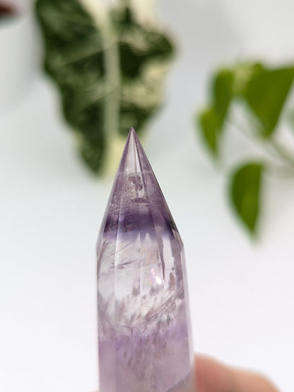 Amethyst Vogel Kristall mit Phantom 76v