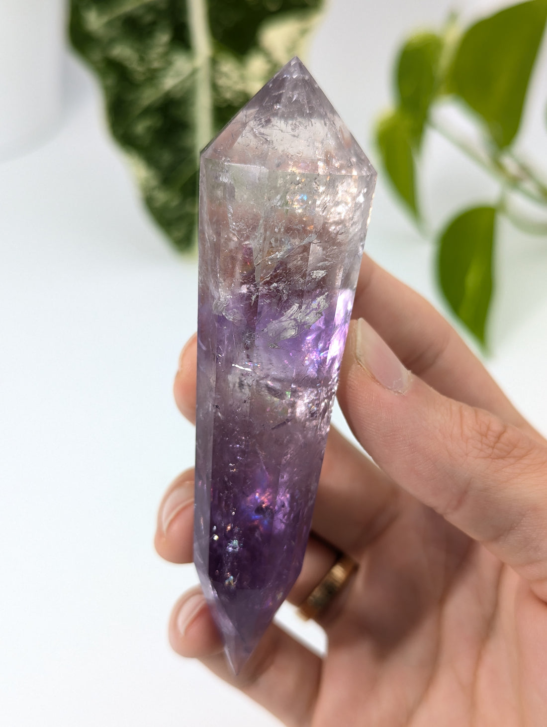 Amethyst Vogel Kristall mit Phantom 69v