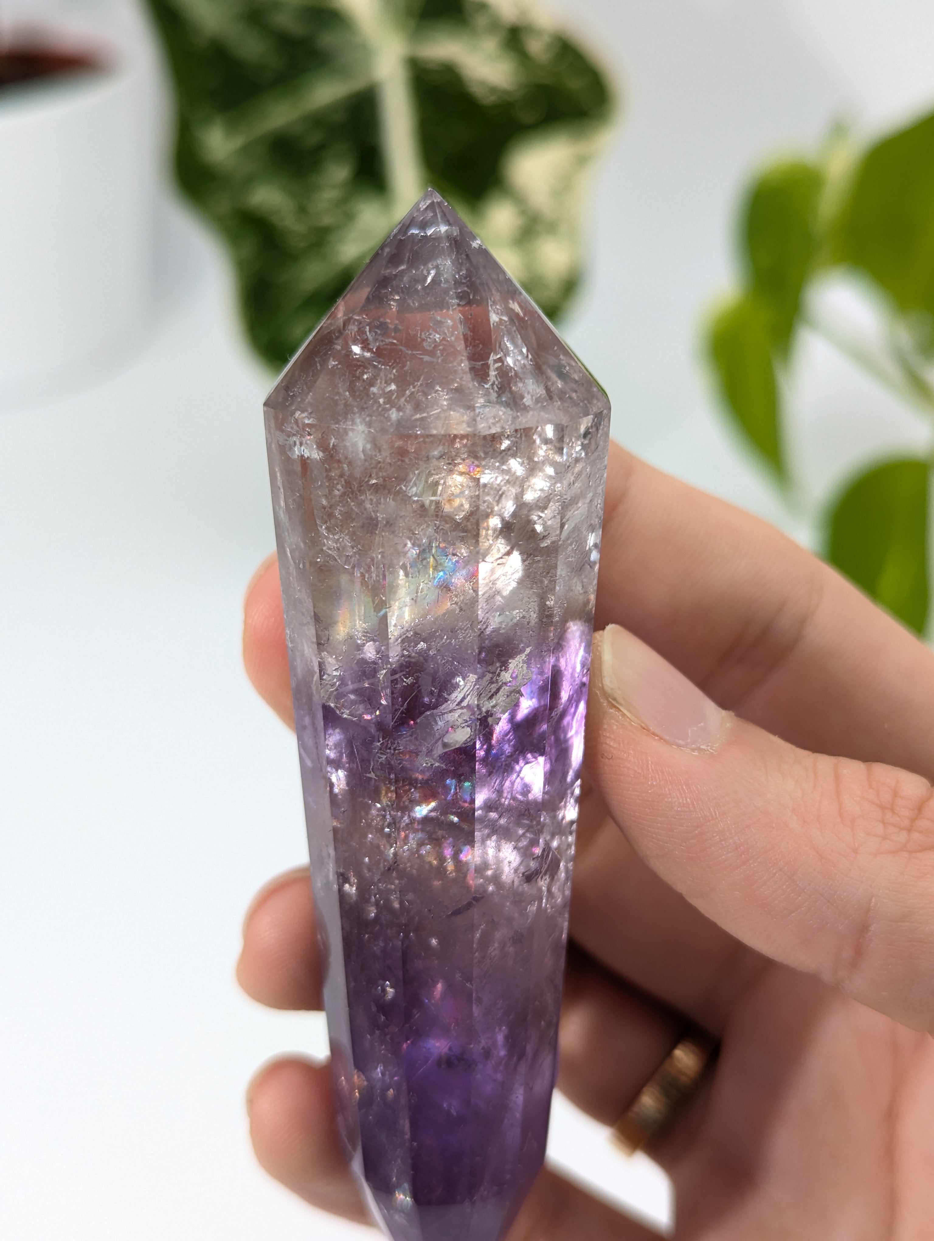 Amethyst Vogel Kristall mit Phantom 69v