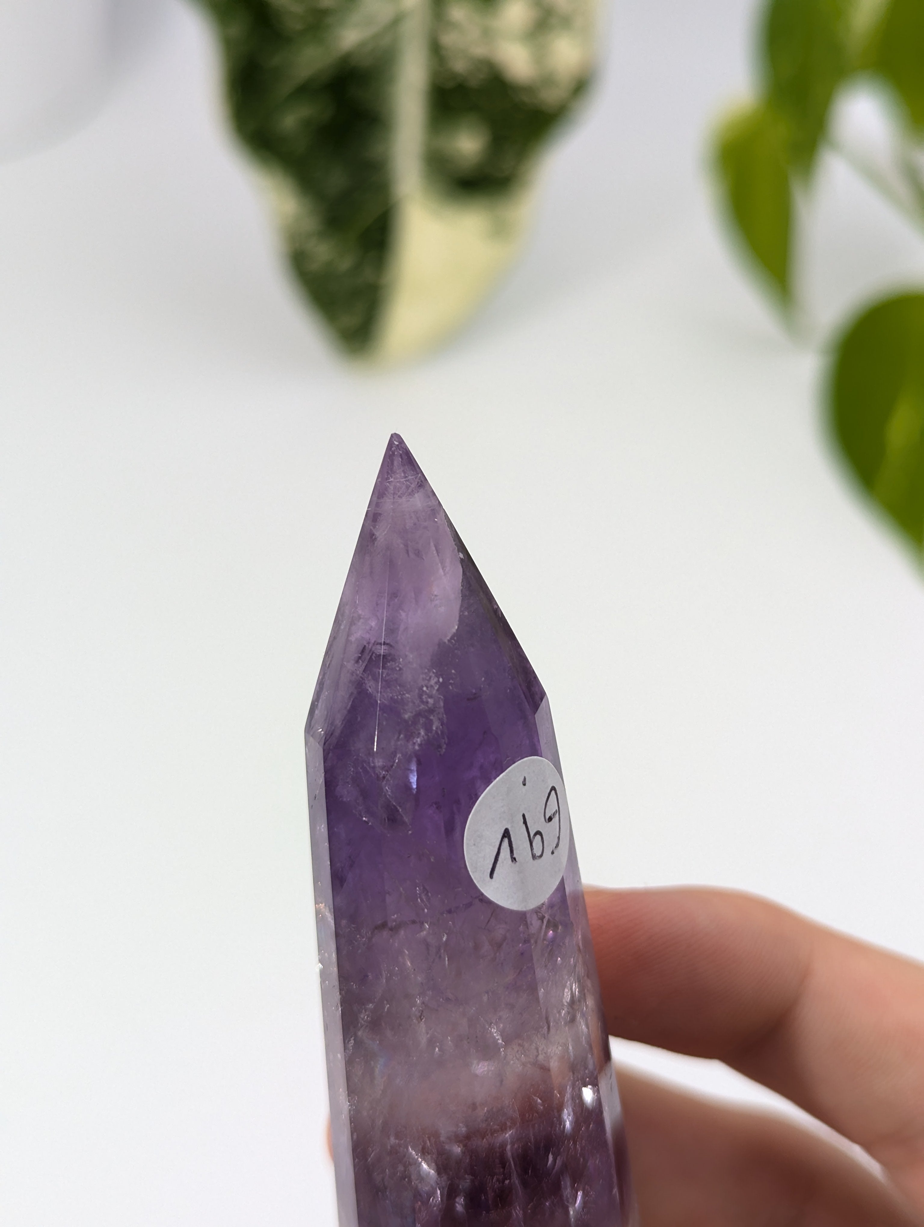 Amethyst Vogel Kristall mit Phantom 69v