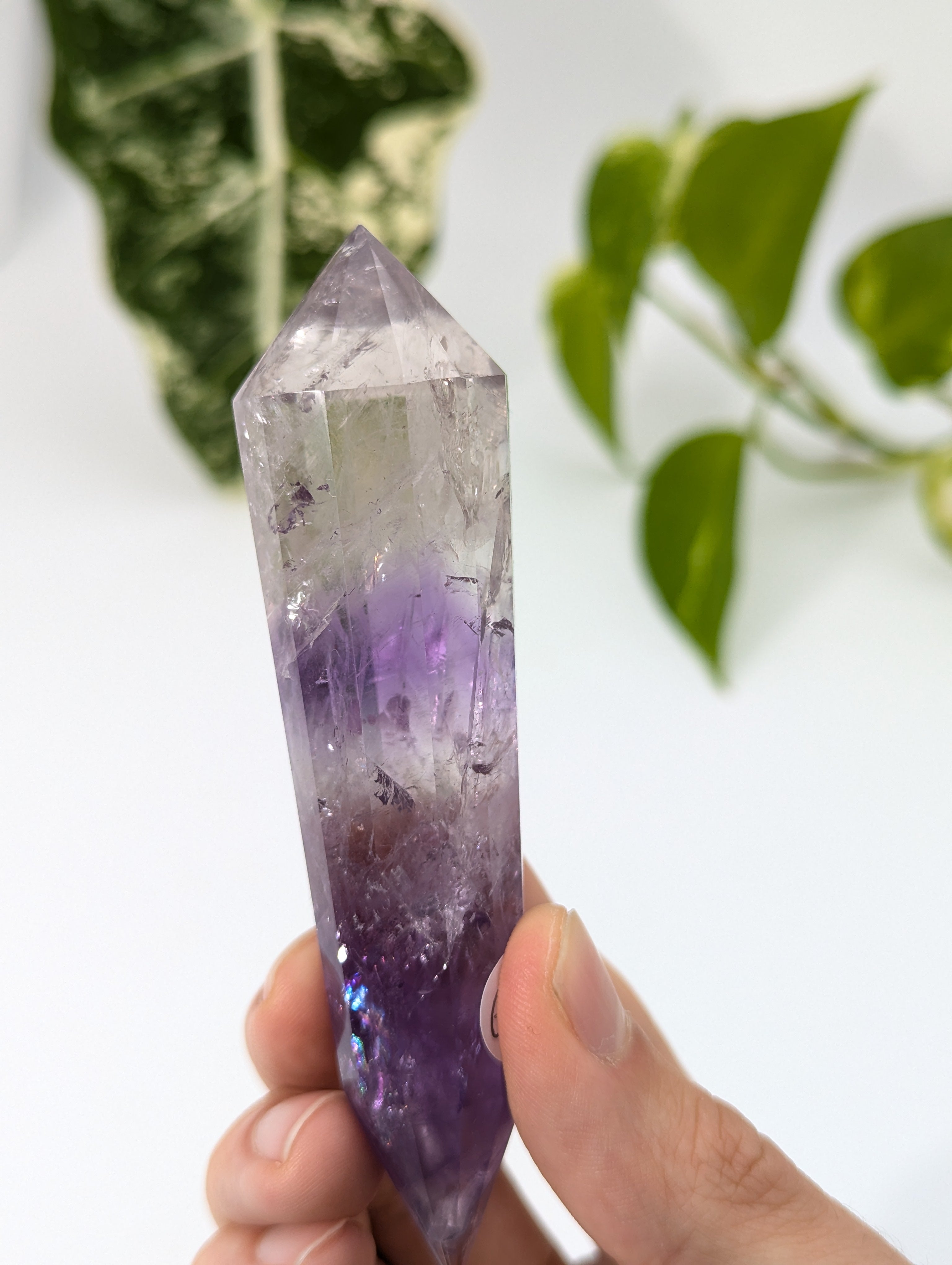 Amethyst Vogel Kristall mit Phantom 69v