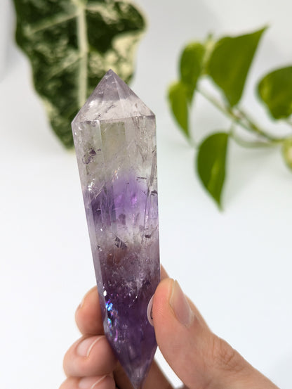 Amethyst Vogel Kristall mit Phantom 69v