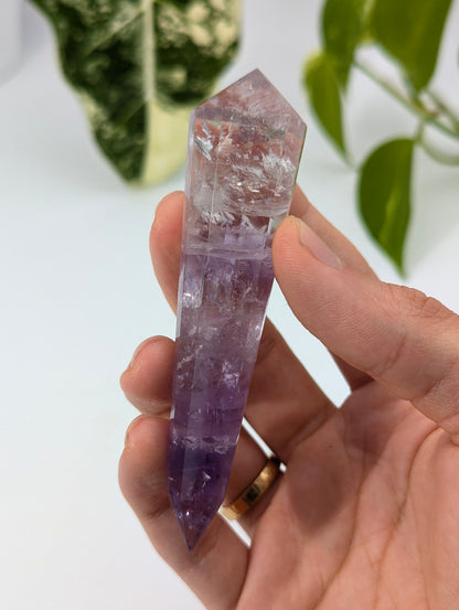 Amethyst Vogel Kristall mit Phantom 45v