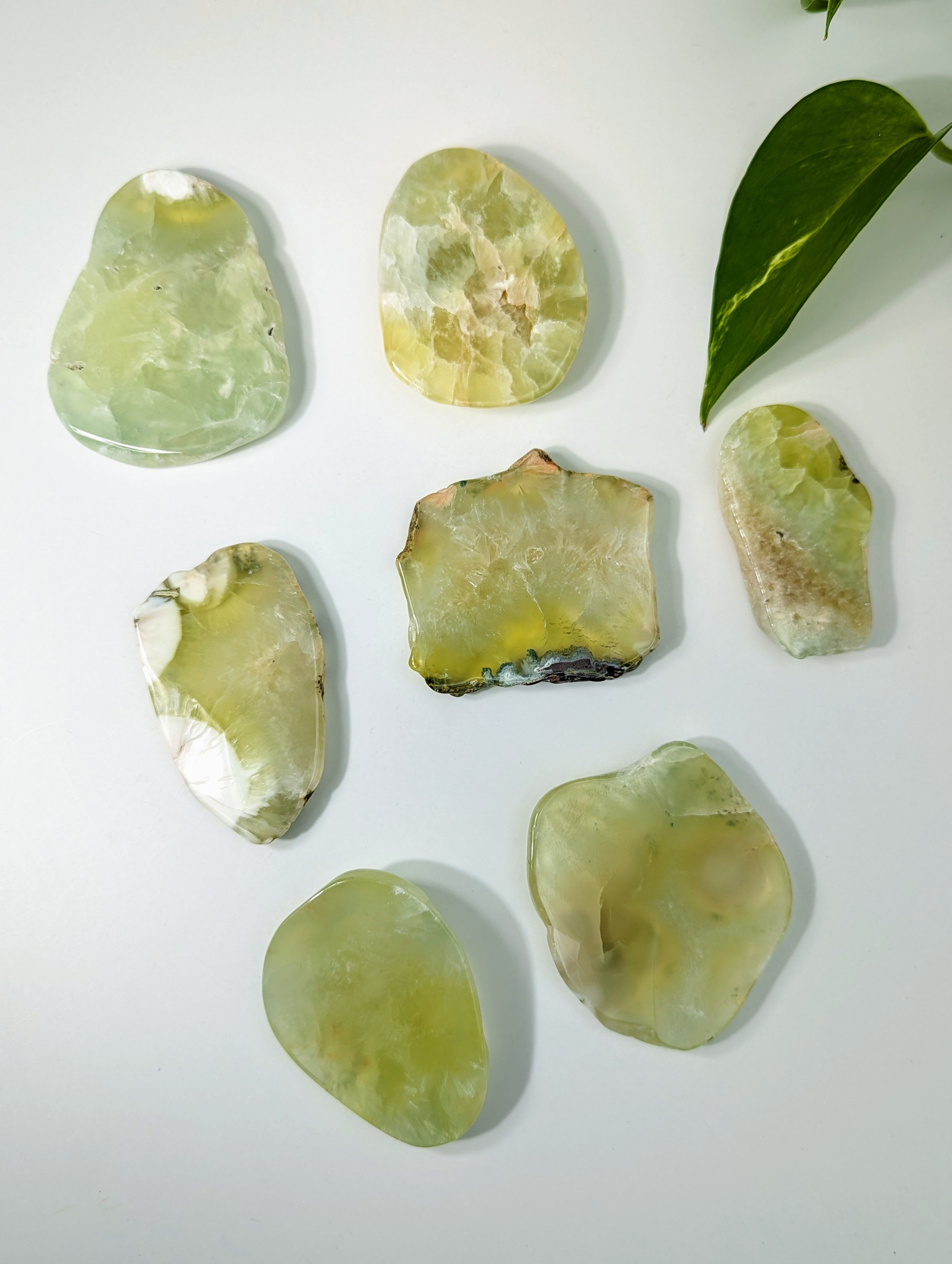 polierte Prehnit Scheiben aus Australien
