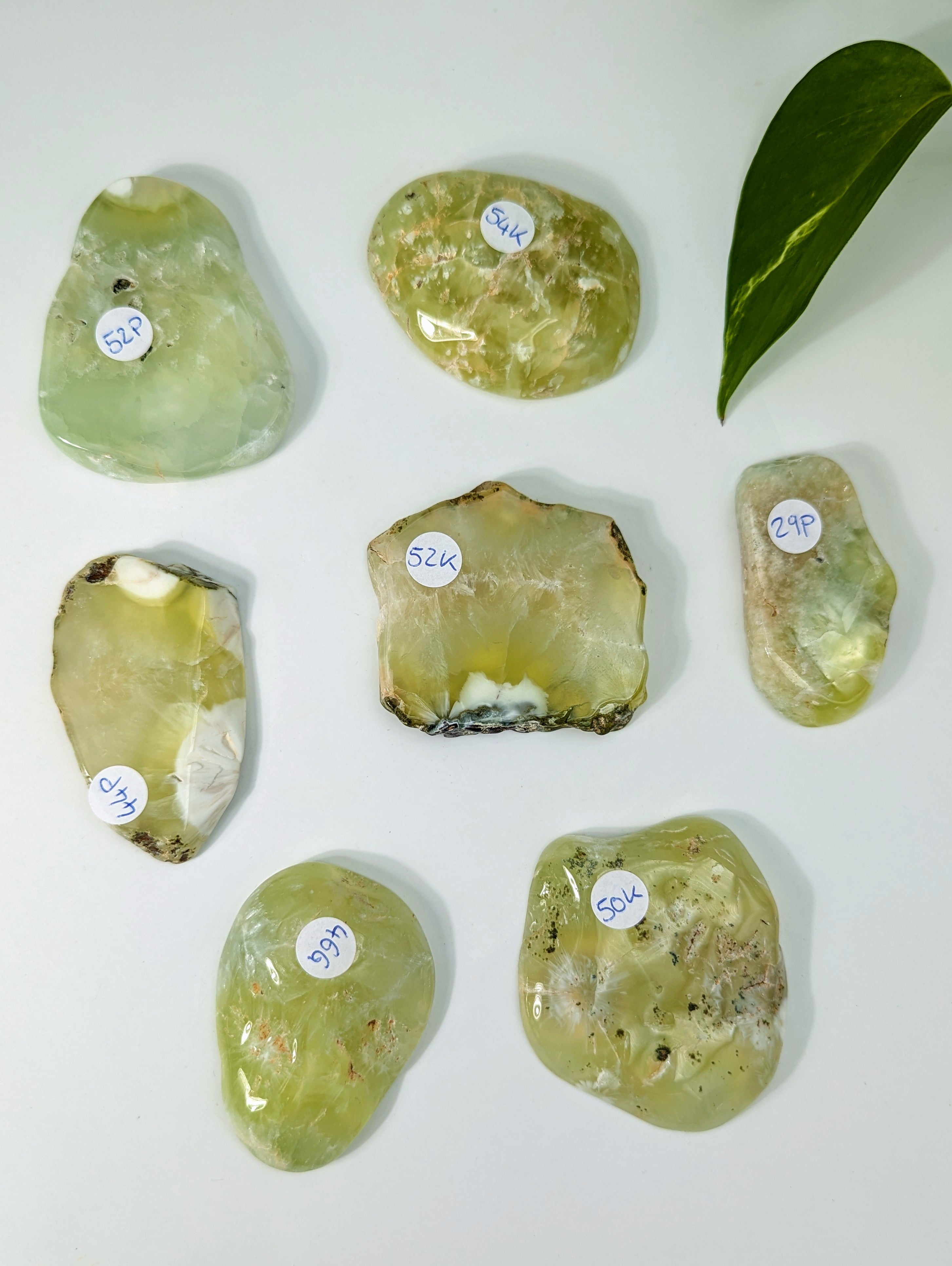 polierte Prehnit Scheiben aus Australien