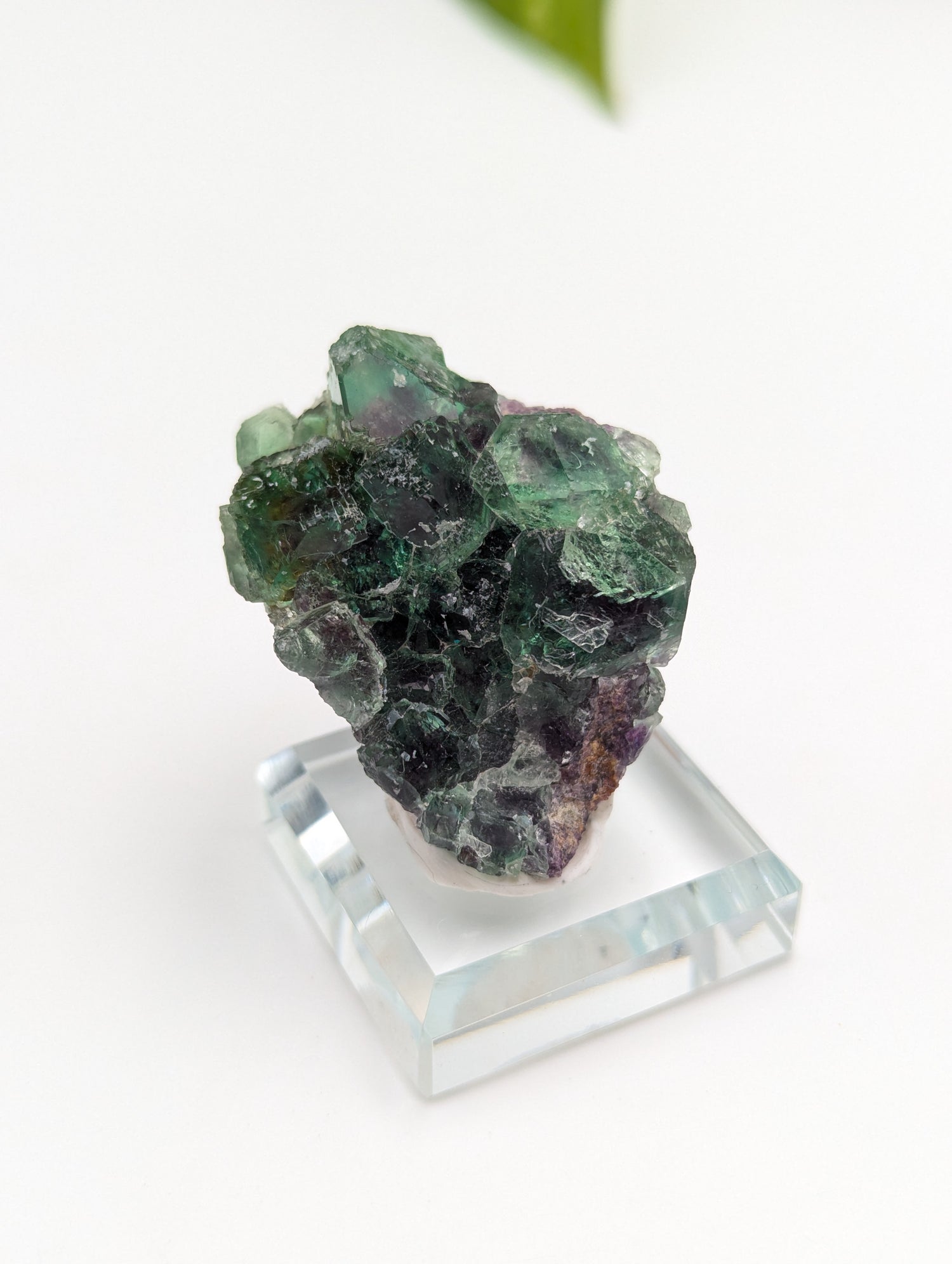 Okorusu Fluorit grün/lila aus Namibia