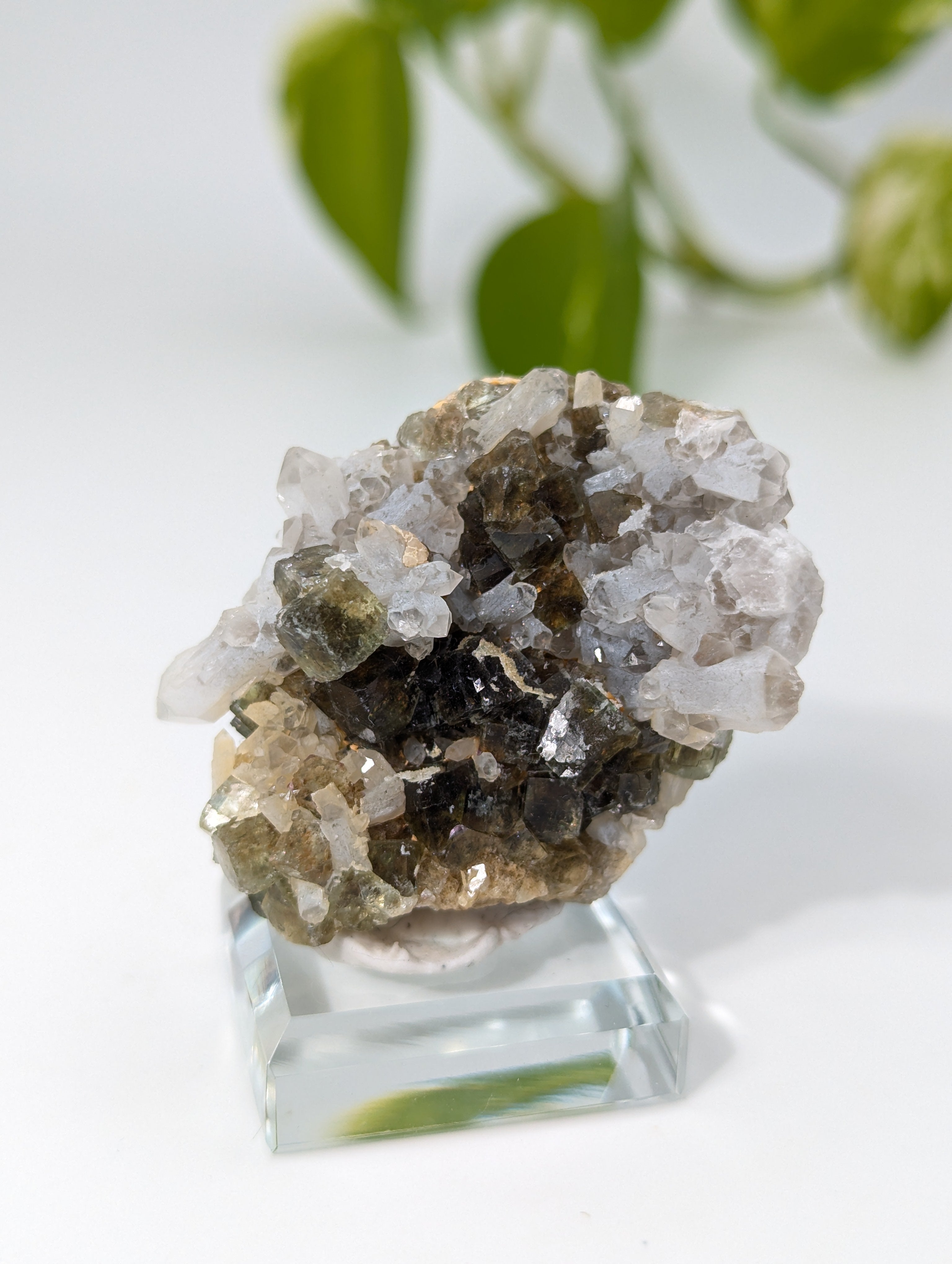 Okorusu Fluorit sumpfgrün mit Bergkristall aus Namibia