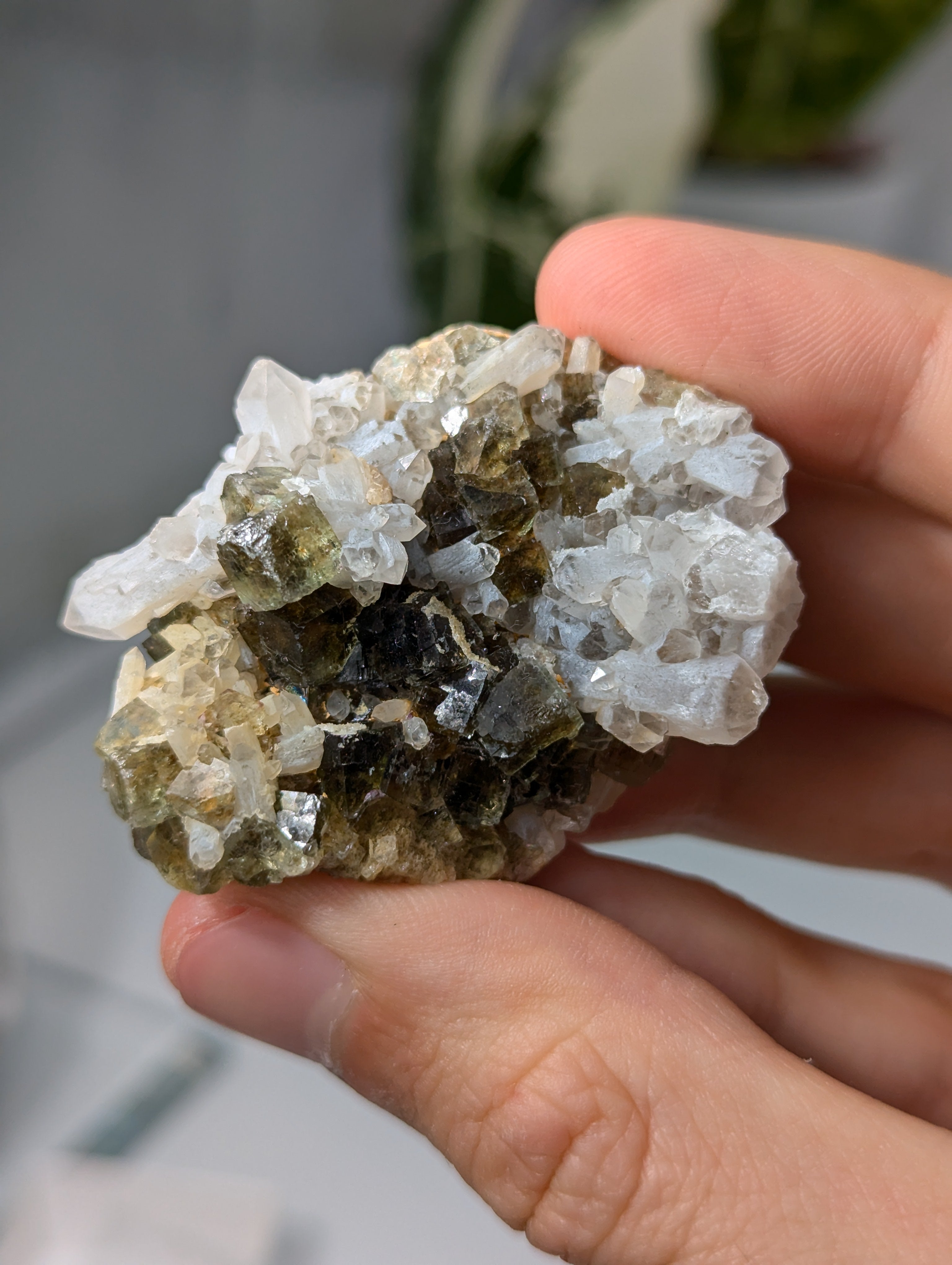 Okorusu Fluorit sumpfgrün mit Bergkristall aus Namibia