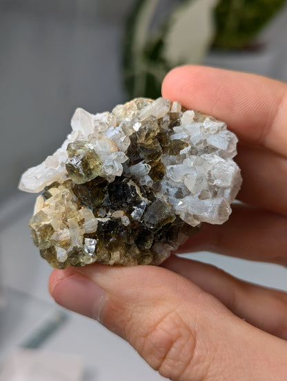 Okorusu Fluorit sumpfgrün mit Bergkristall aus Namibia