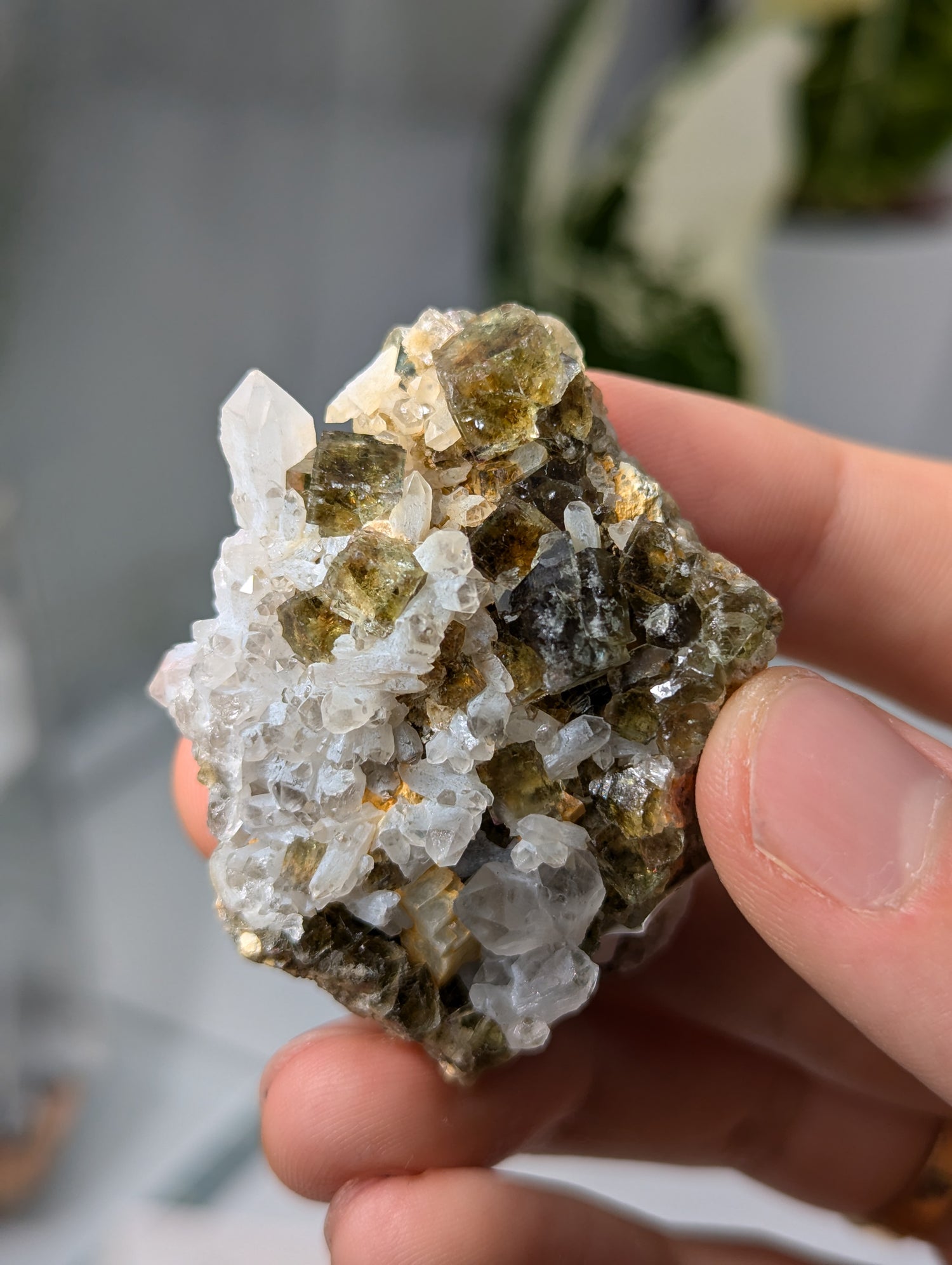 Okorusu Fluorit sumpfgrün mit Bergkristall aus Namibia