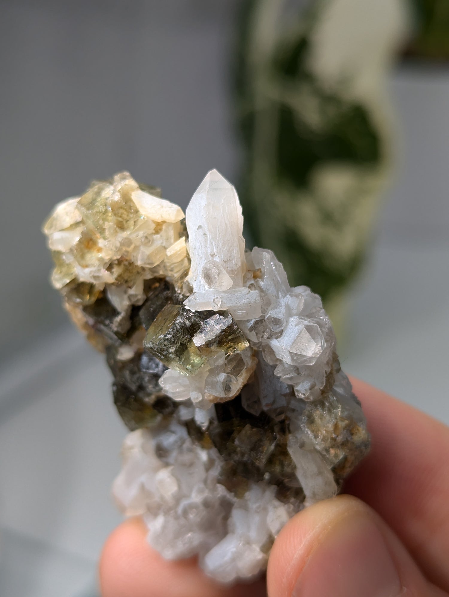 Okorusu Fluorit sumpfgrün mit Bergkristall aus Namibia