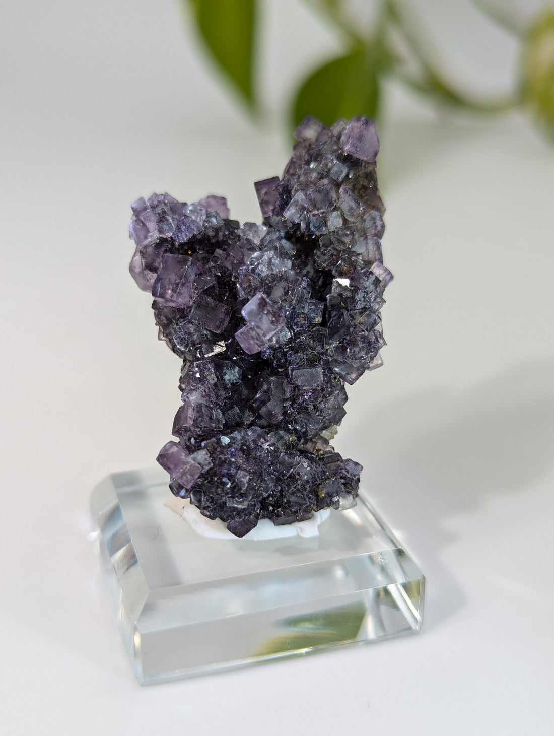 Okorusu Fluorit dunkellila aus Namibia