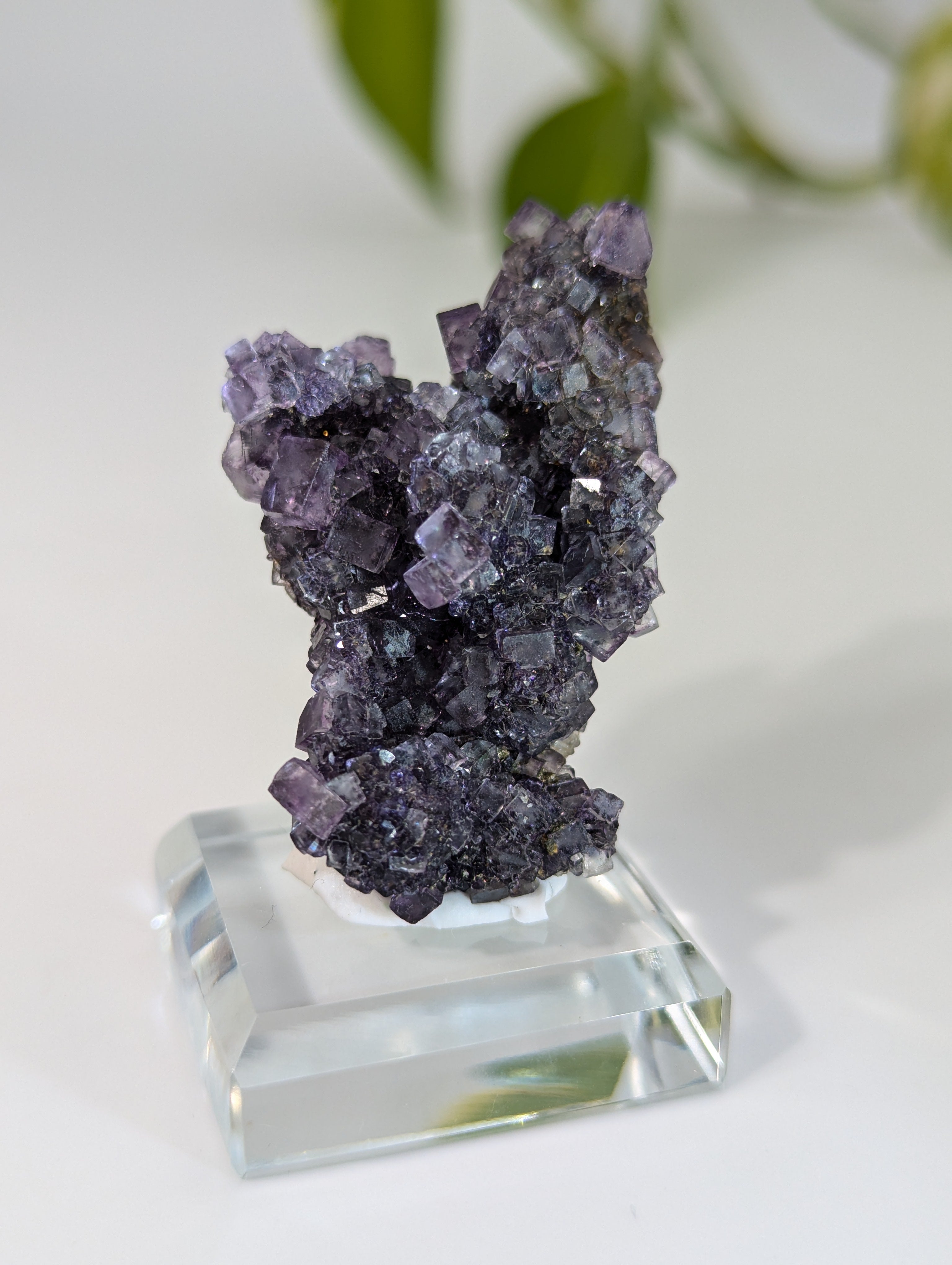 Okorusu Fluorit dunkellila aus Namibia