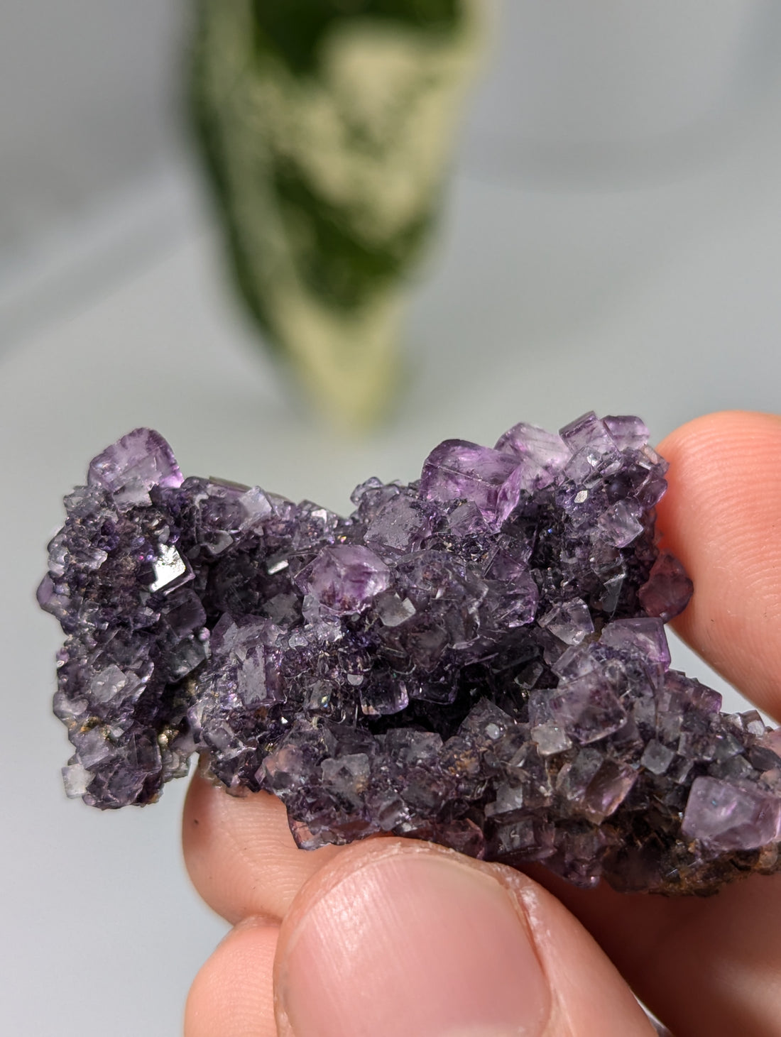 Okorusu Fluorit dunkellila aus Namibia