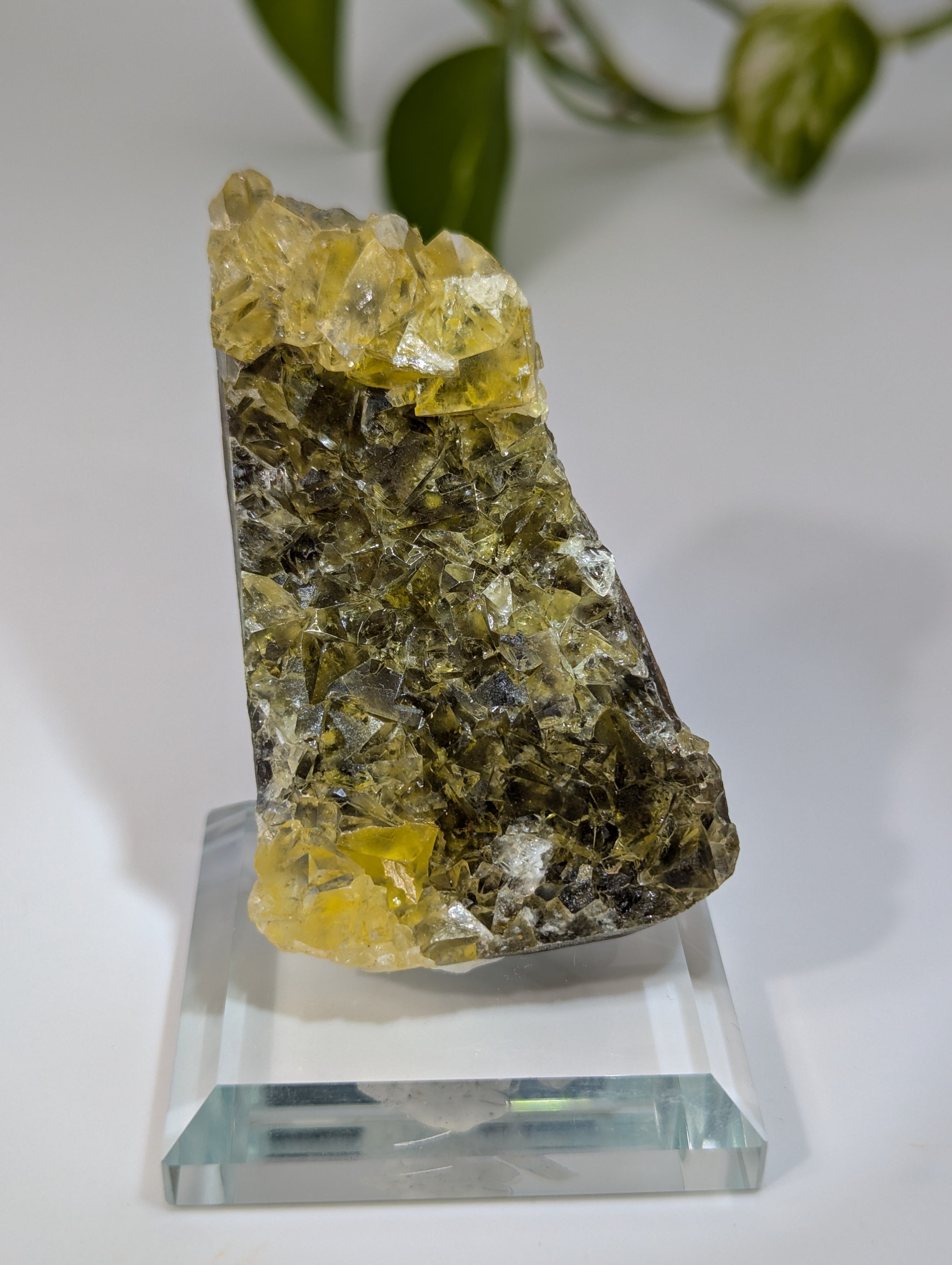 Okorusu Fluorit gelb groß aus Namibia