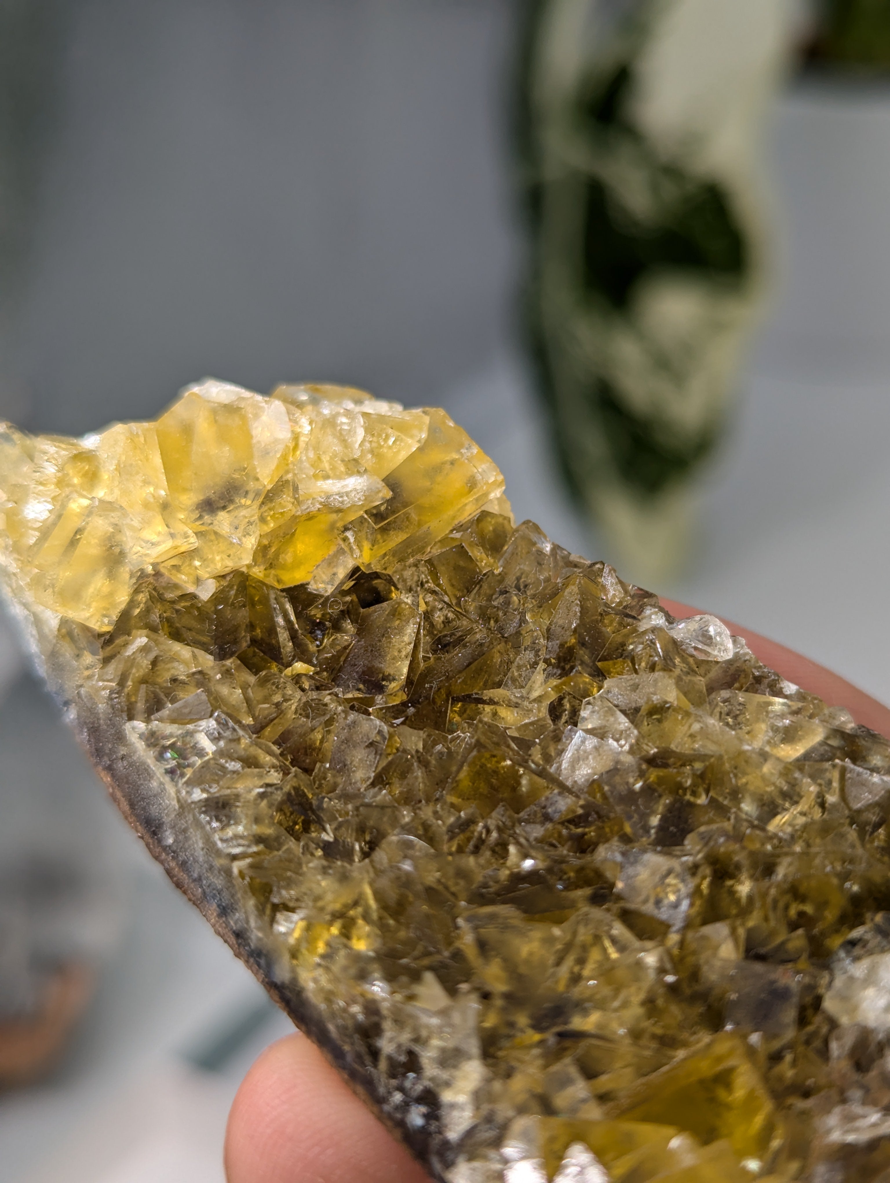 Okorusu Fluorit gelb groß aus Namibia