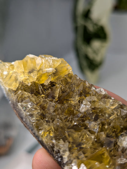 Okorusu Fluorit gelb groß aus Namibia