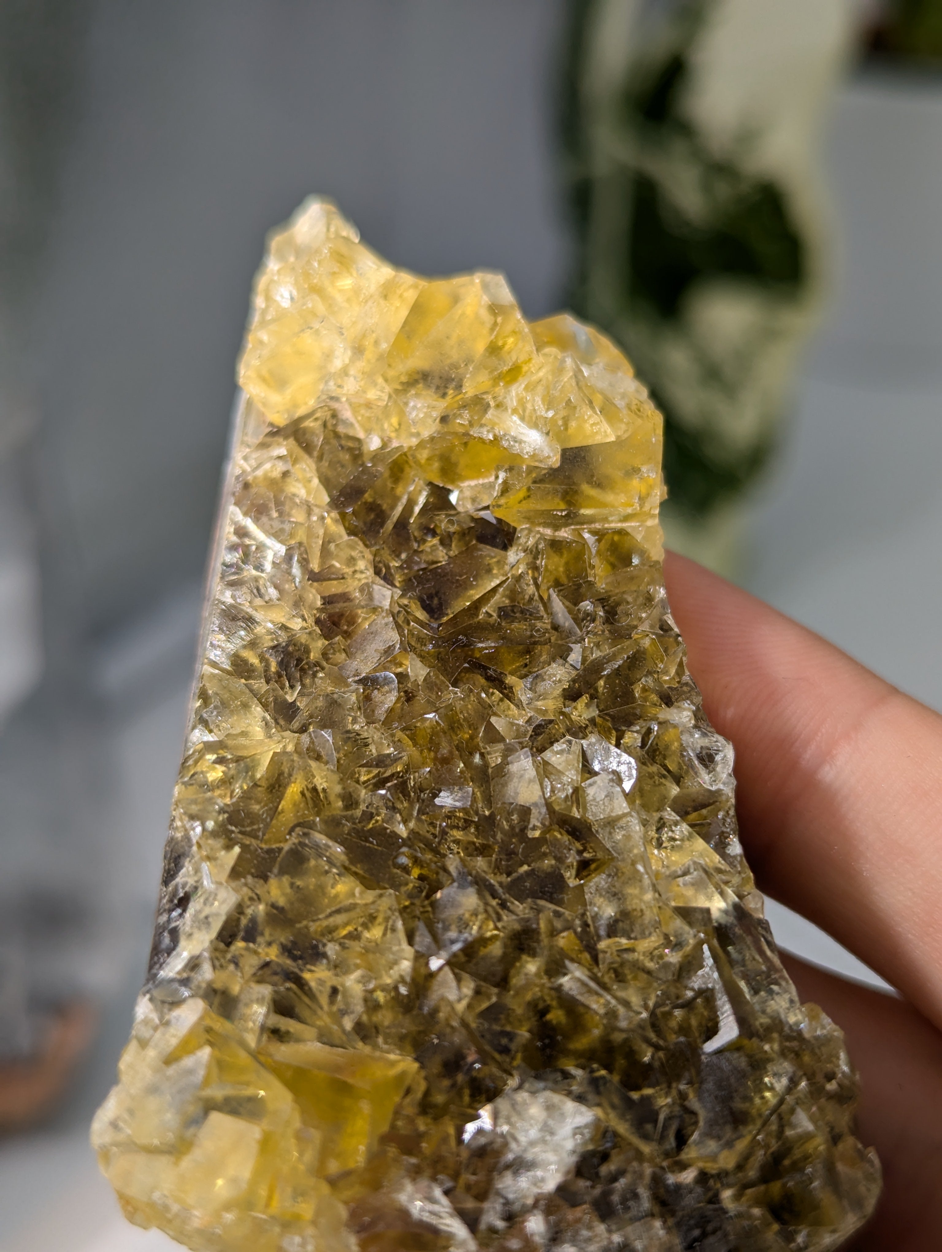 Okorusu Fluorit gelb groß aus Namibia