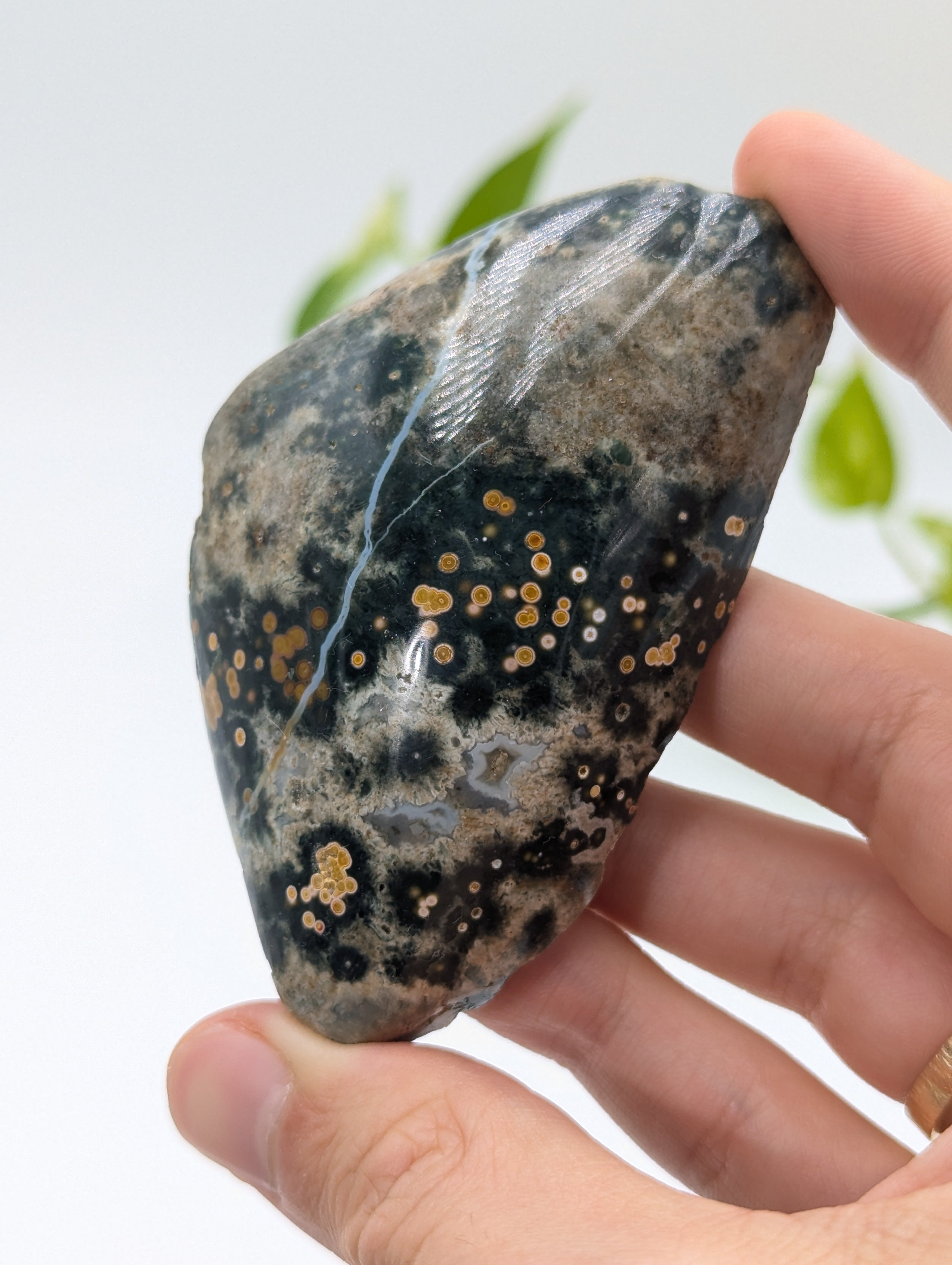 Ozeanjaspis Anschliff (Old Stock) 8cm