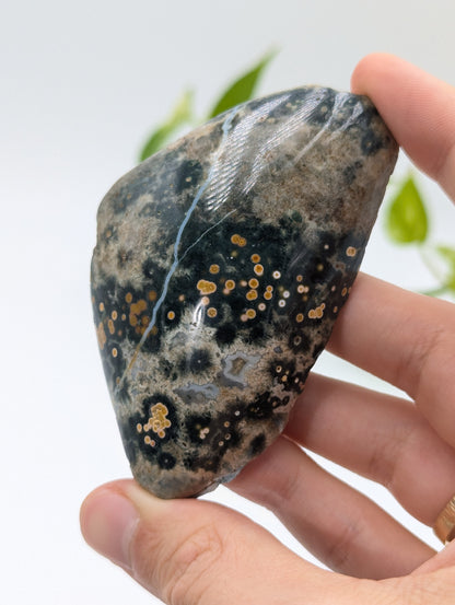 Ozeanjaspis Anschliff (Old Stock) 8cm