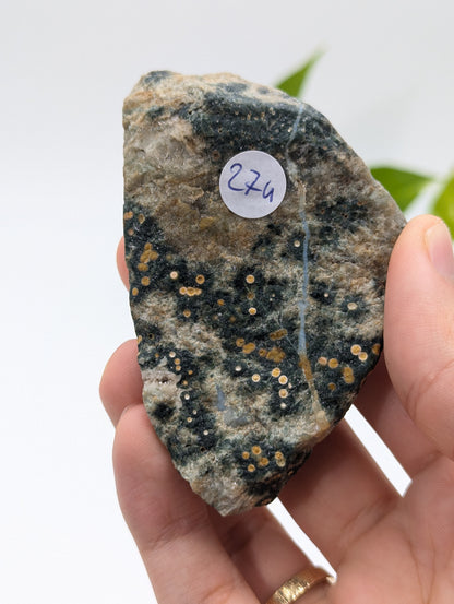 Ozeanjaspis Anschliff (Old Stock) 8cm