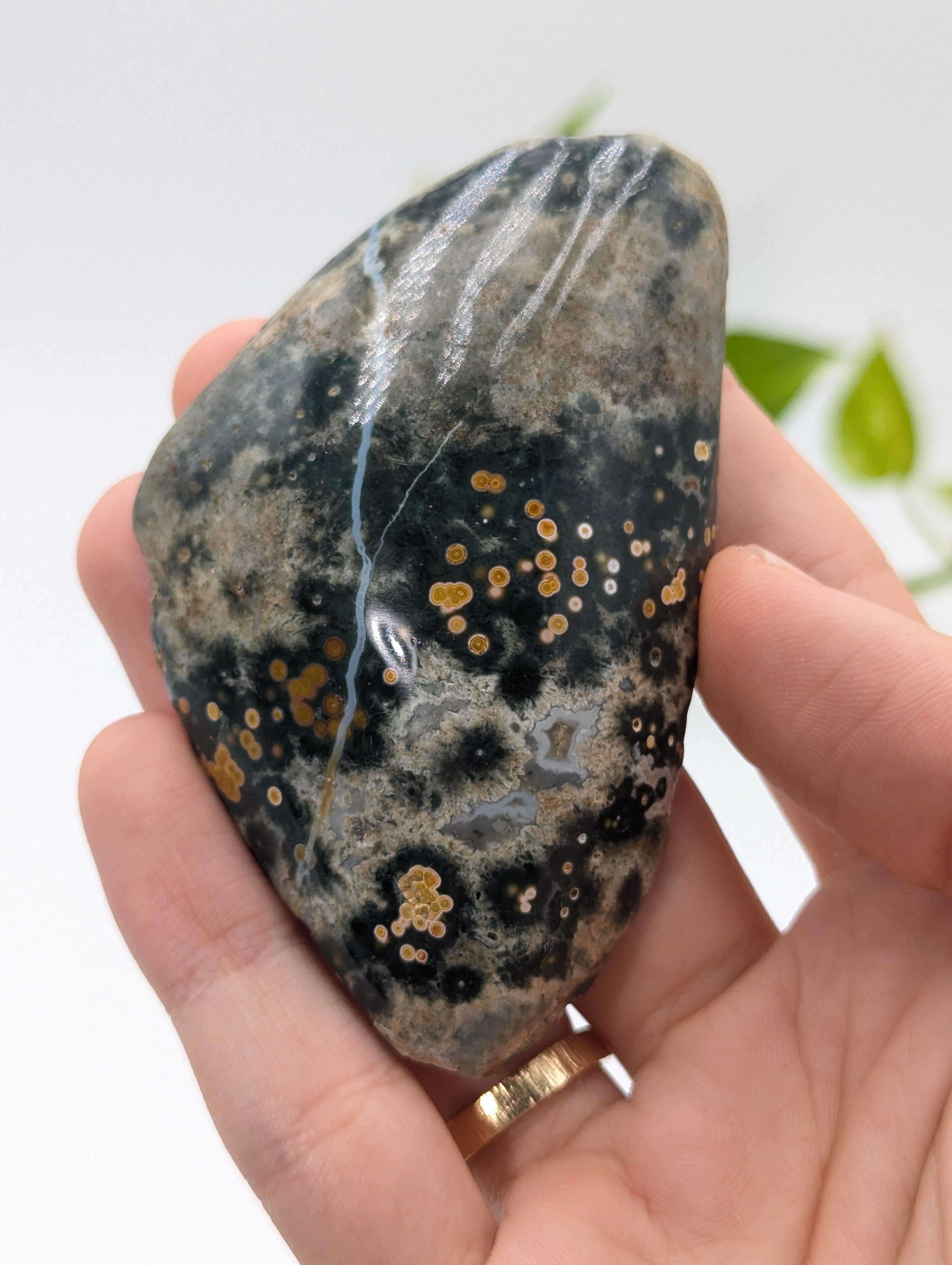 Ozeanjaspis Anschliff (Old Stock) 8cm