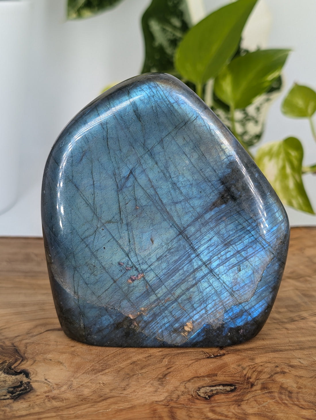 Labradorit Freiform mit tollem Flash