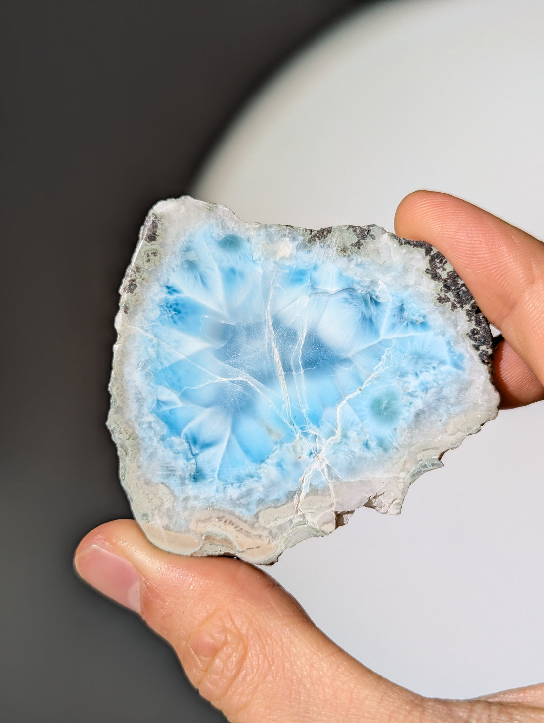 Larimar Scheibe