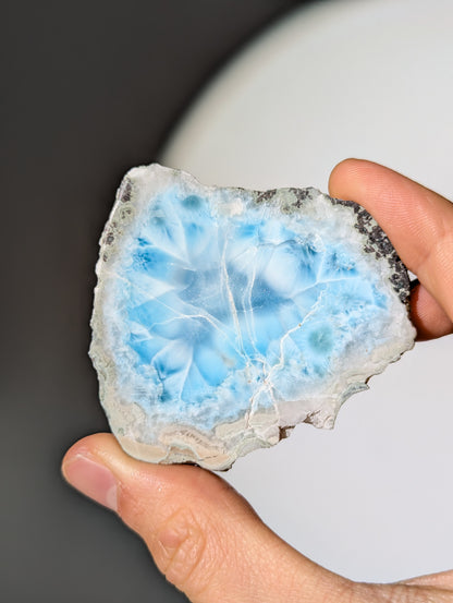 Larimar Scheibe