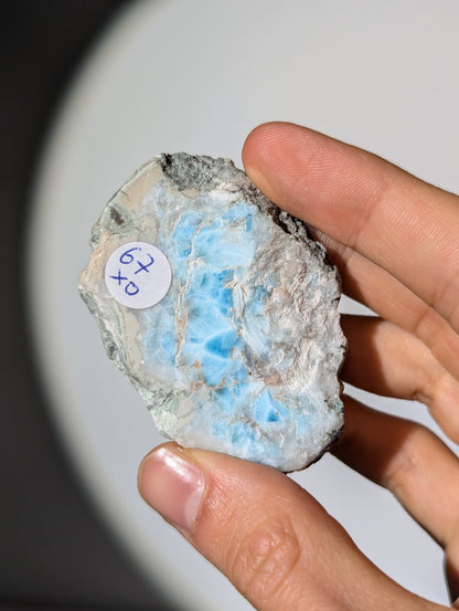 Larimar Scheibe