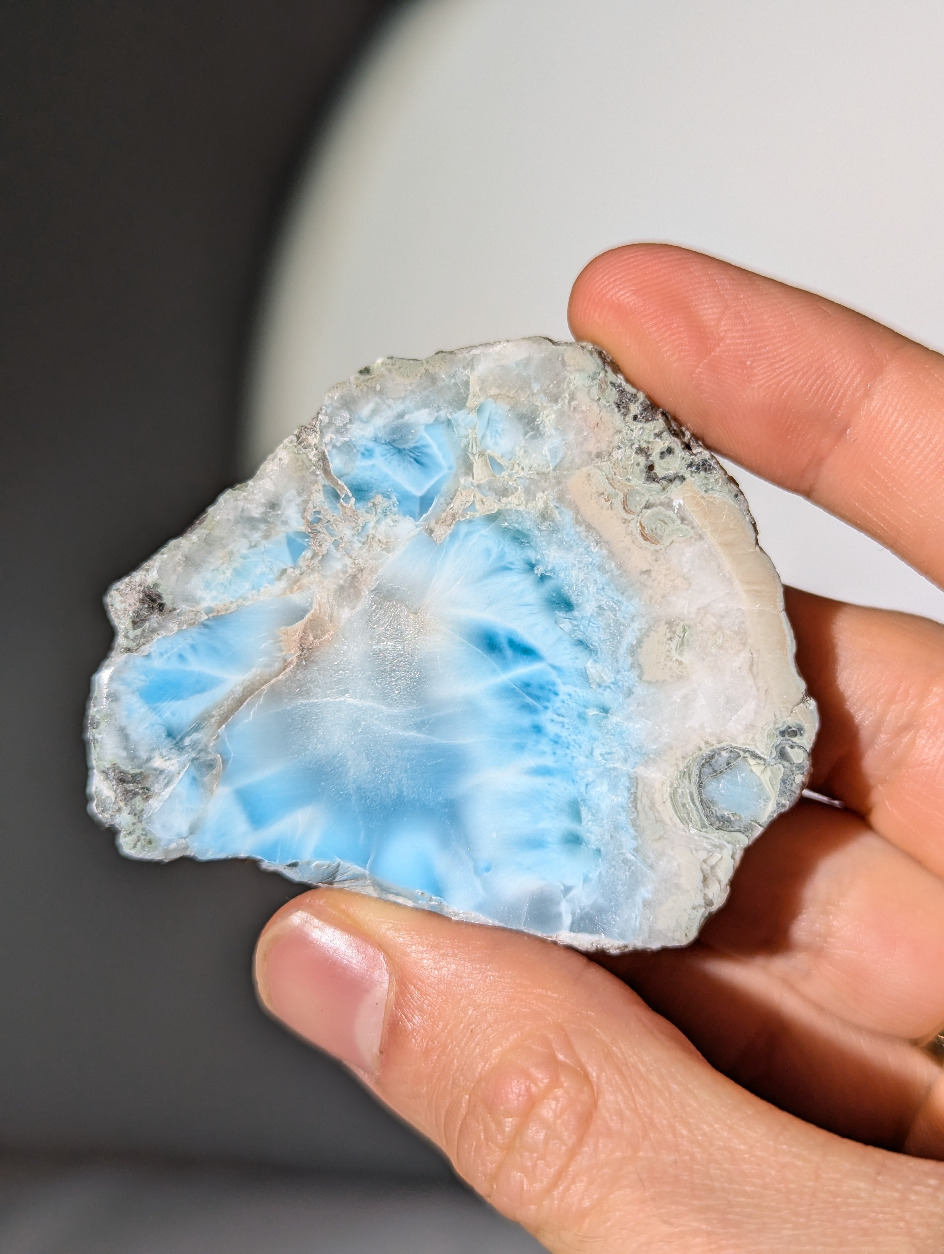 Larimar Scheibe