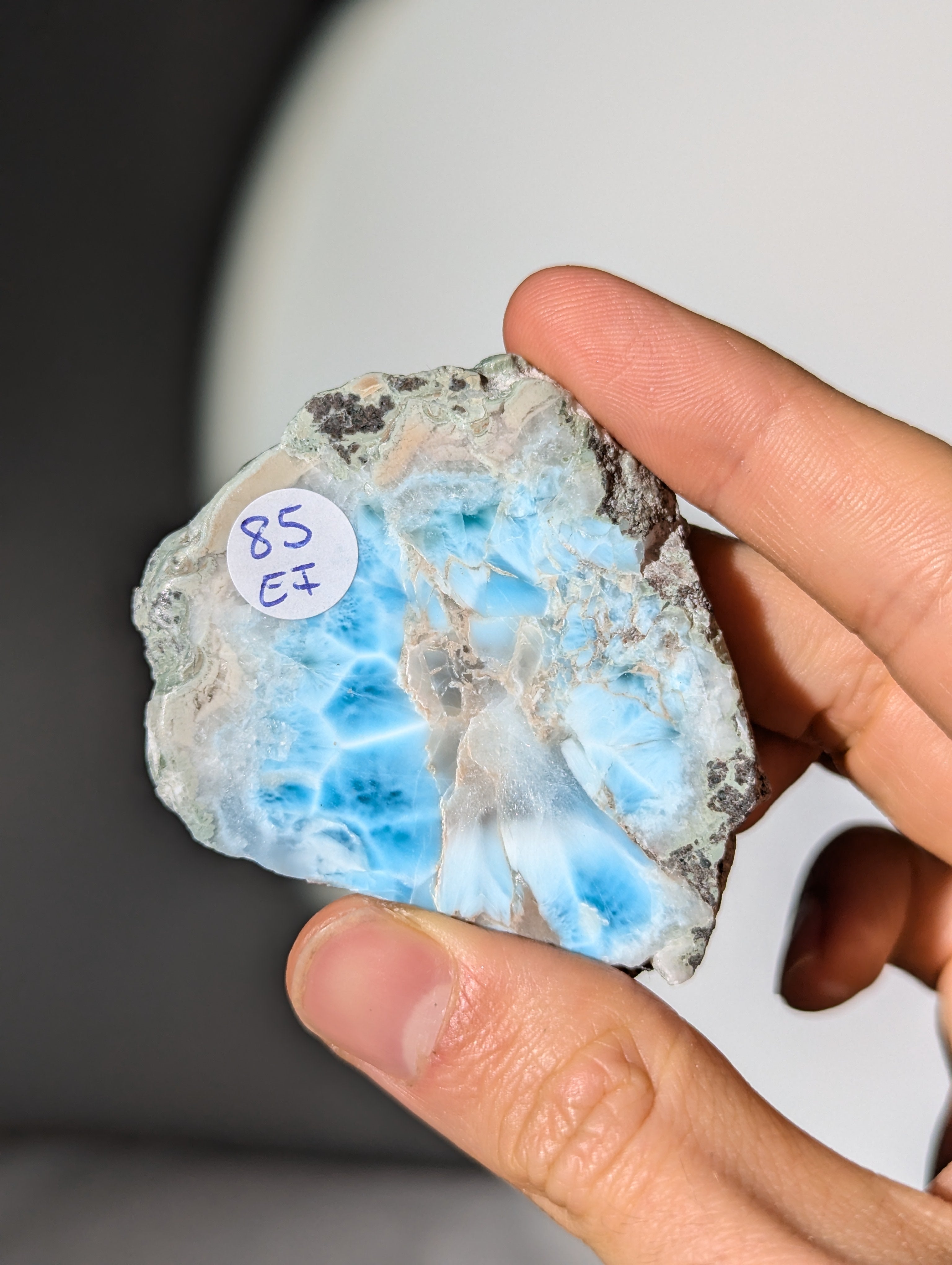 Larimar Scheibe