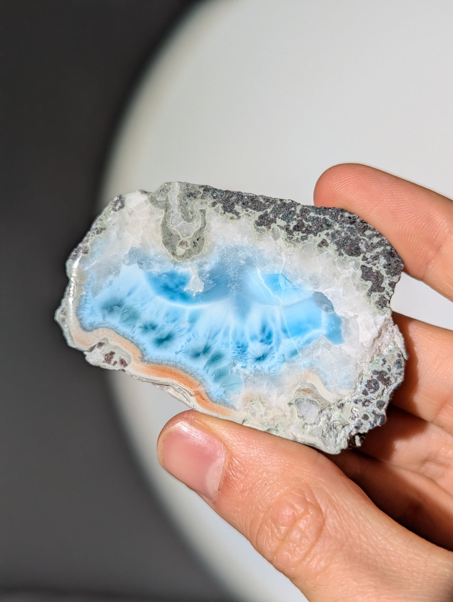 Larimar Scheibe