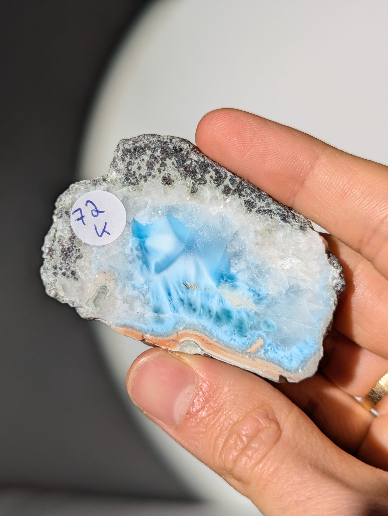 Larimar Scheibe