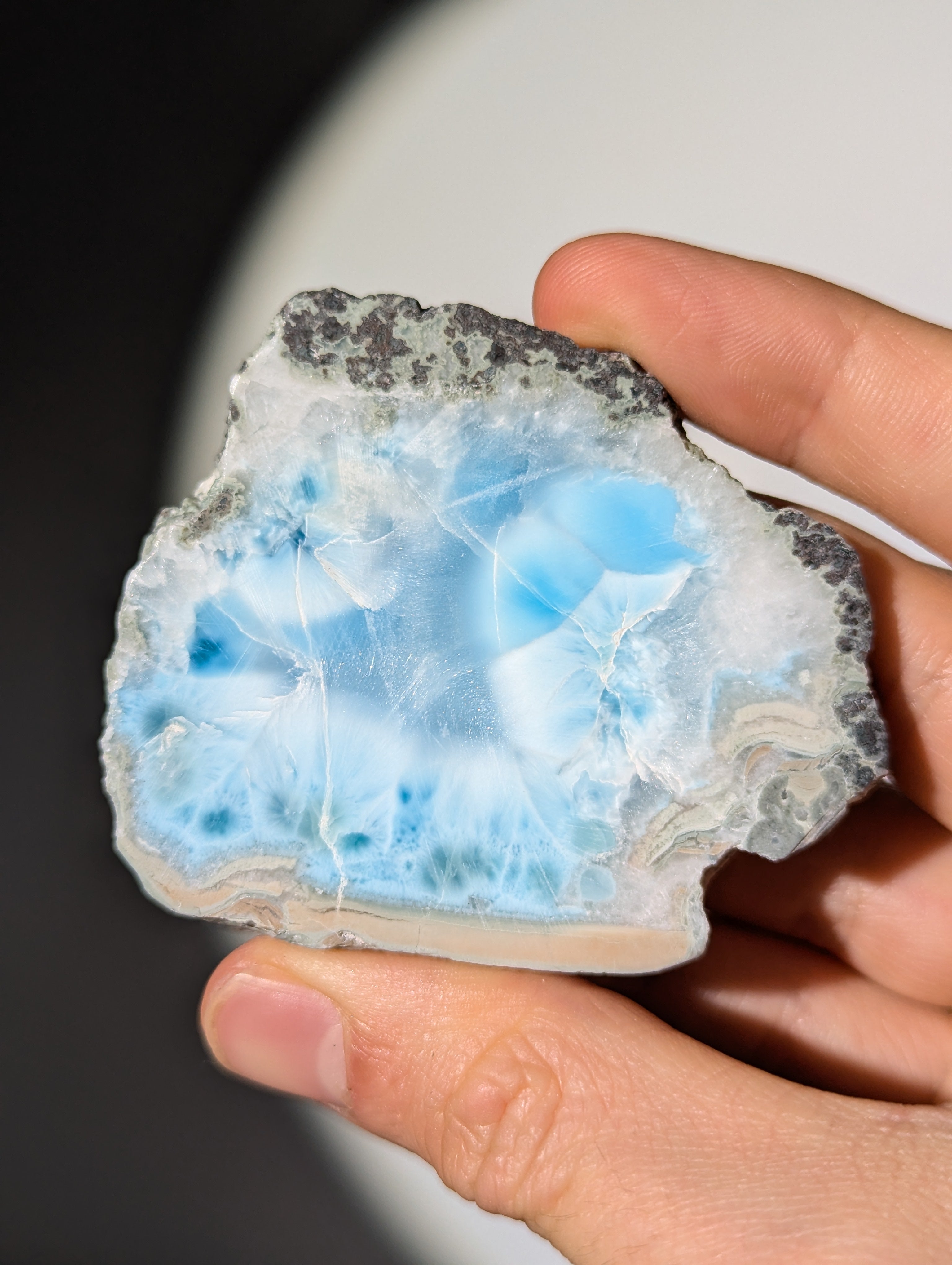 Larimar Scheibe