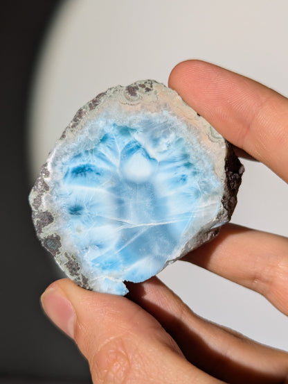 Larimar Scheibe